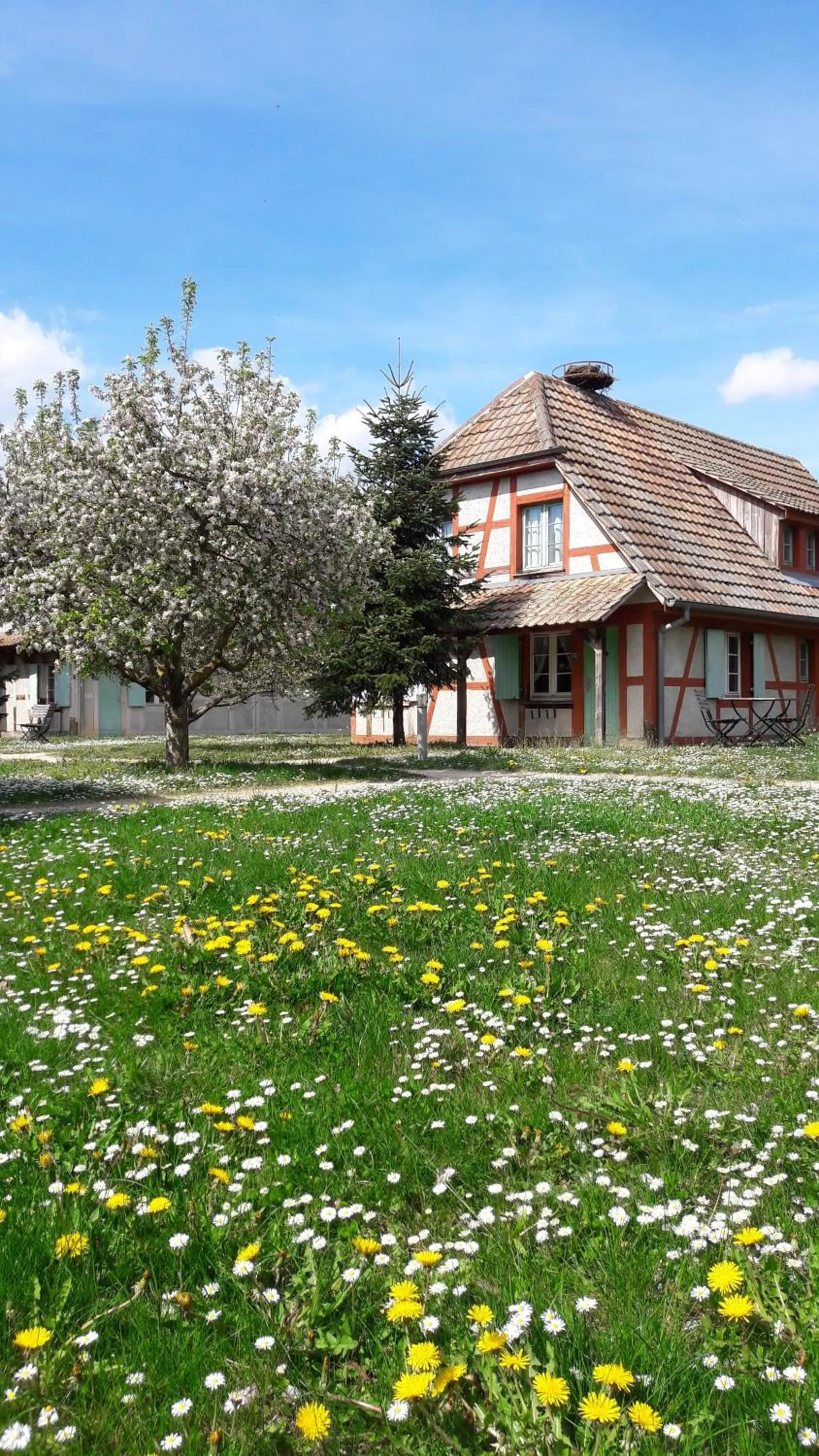 Les Loges de l'Ecomusée D'Alsace