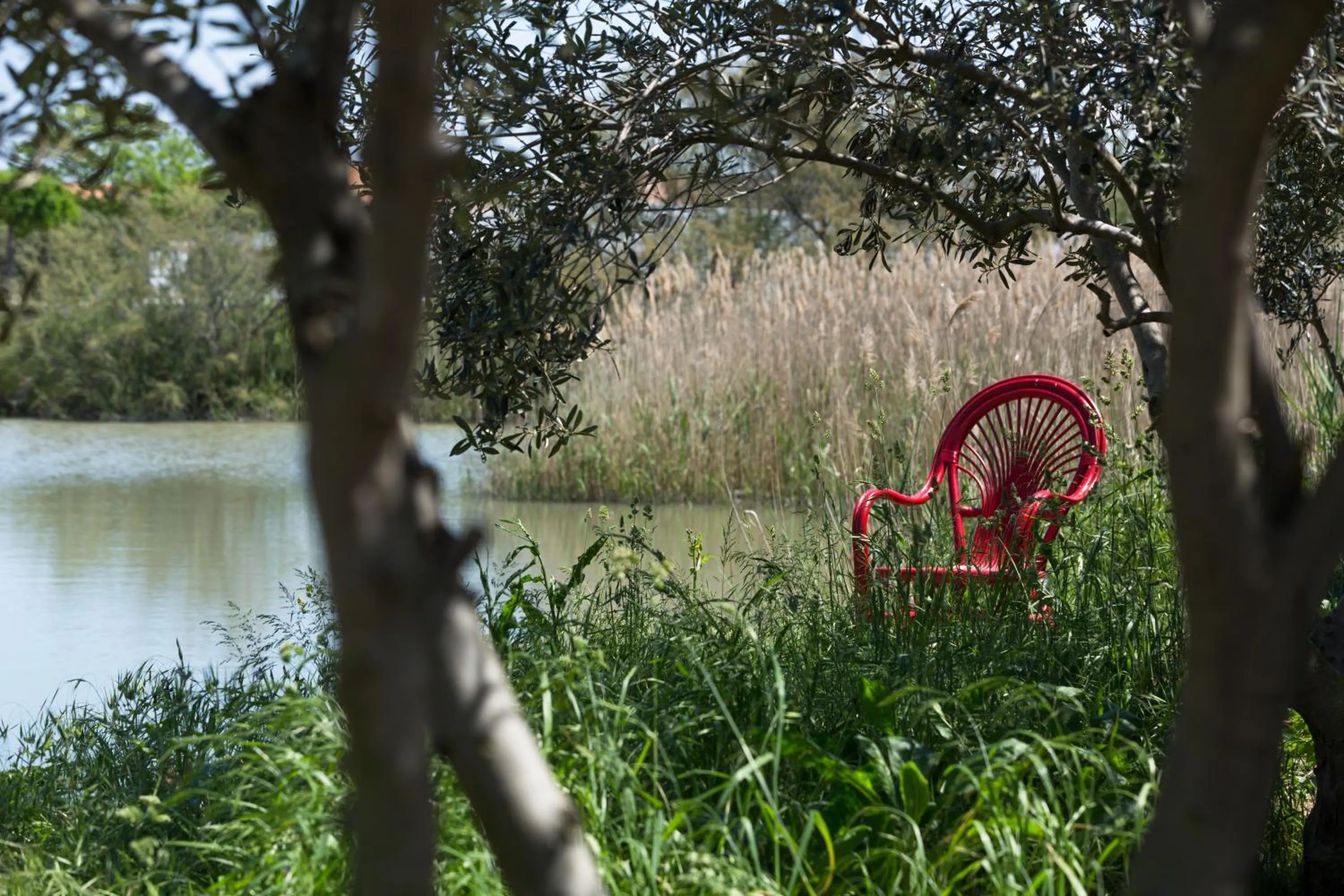 Garden in Mas Des Salicornes