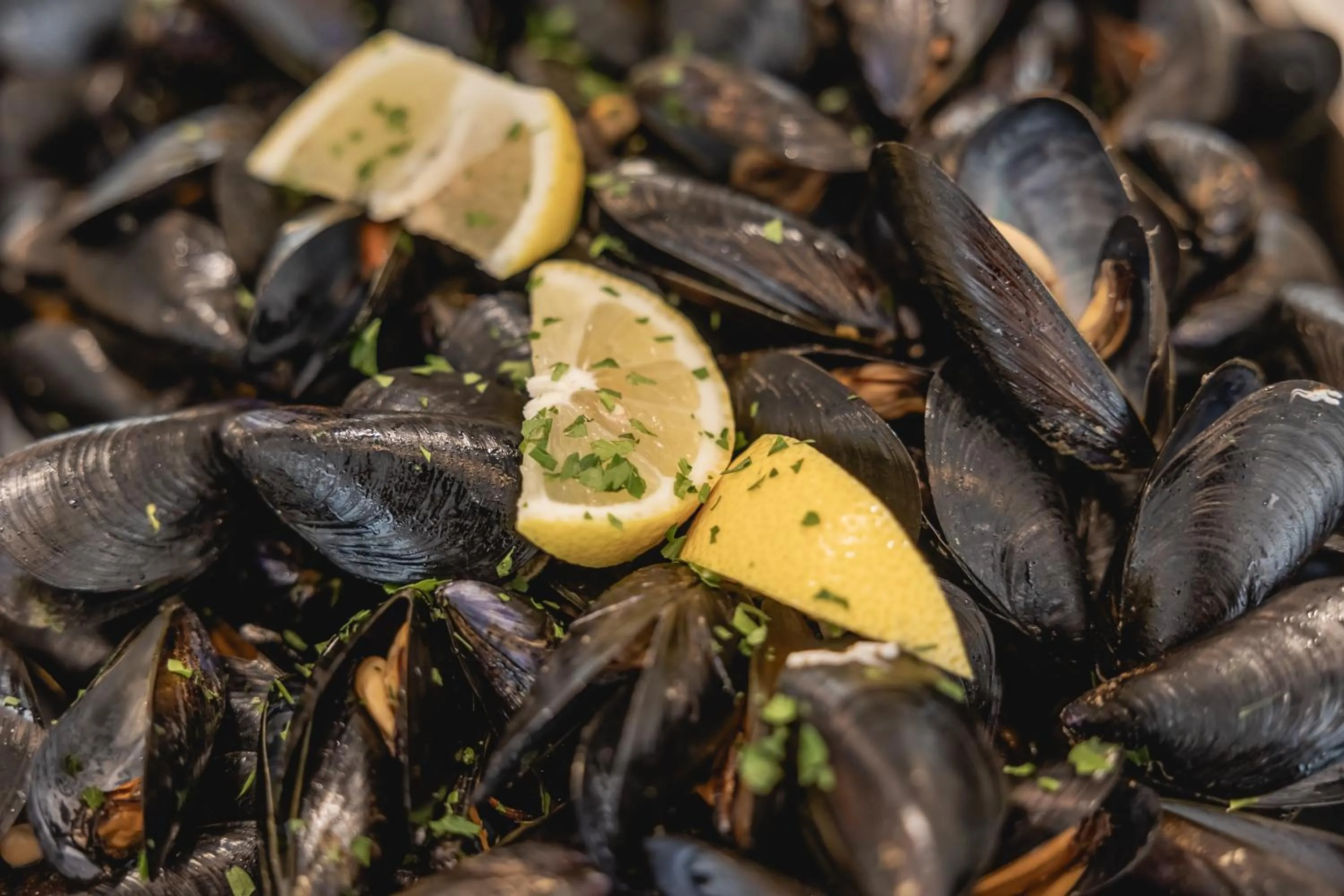 Restaurant/places to eat in Hotel Principe