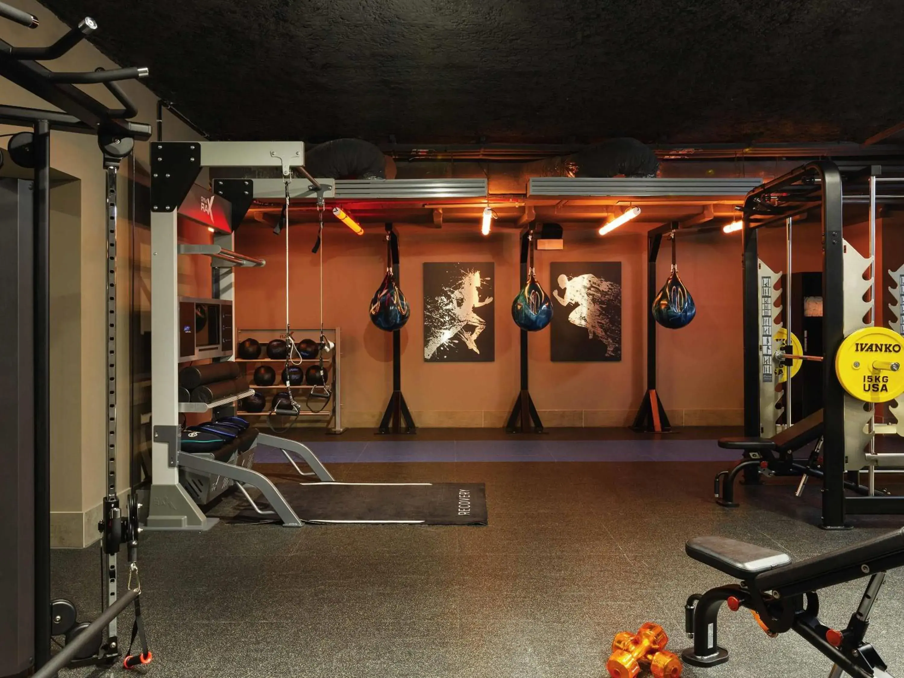 Fitness centre/facilities in Pullman Paris Montparnasse Fitness centre/facilities in Pullman Paris Montparnasse