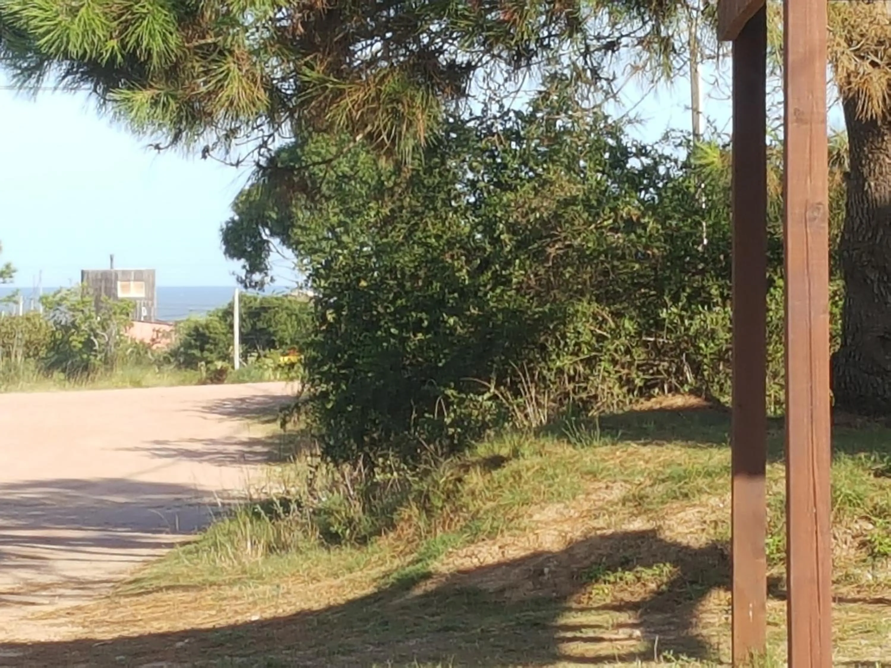 La Marujada