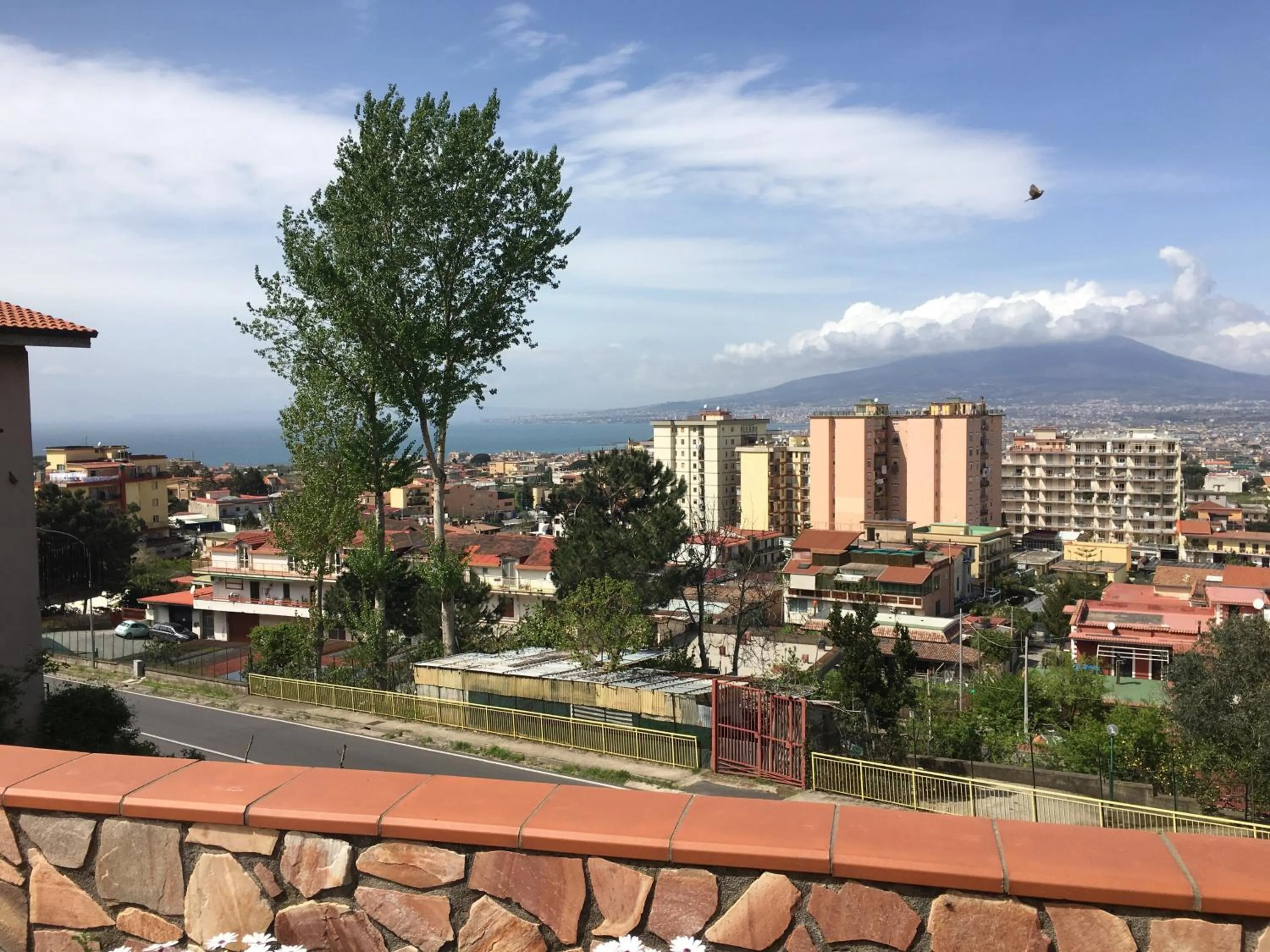 Natural landscape in villa eden
