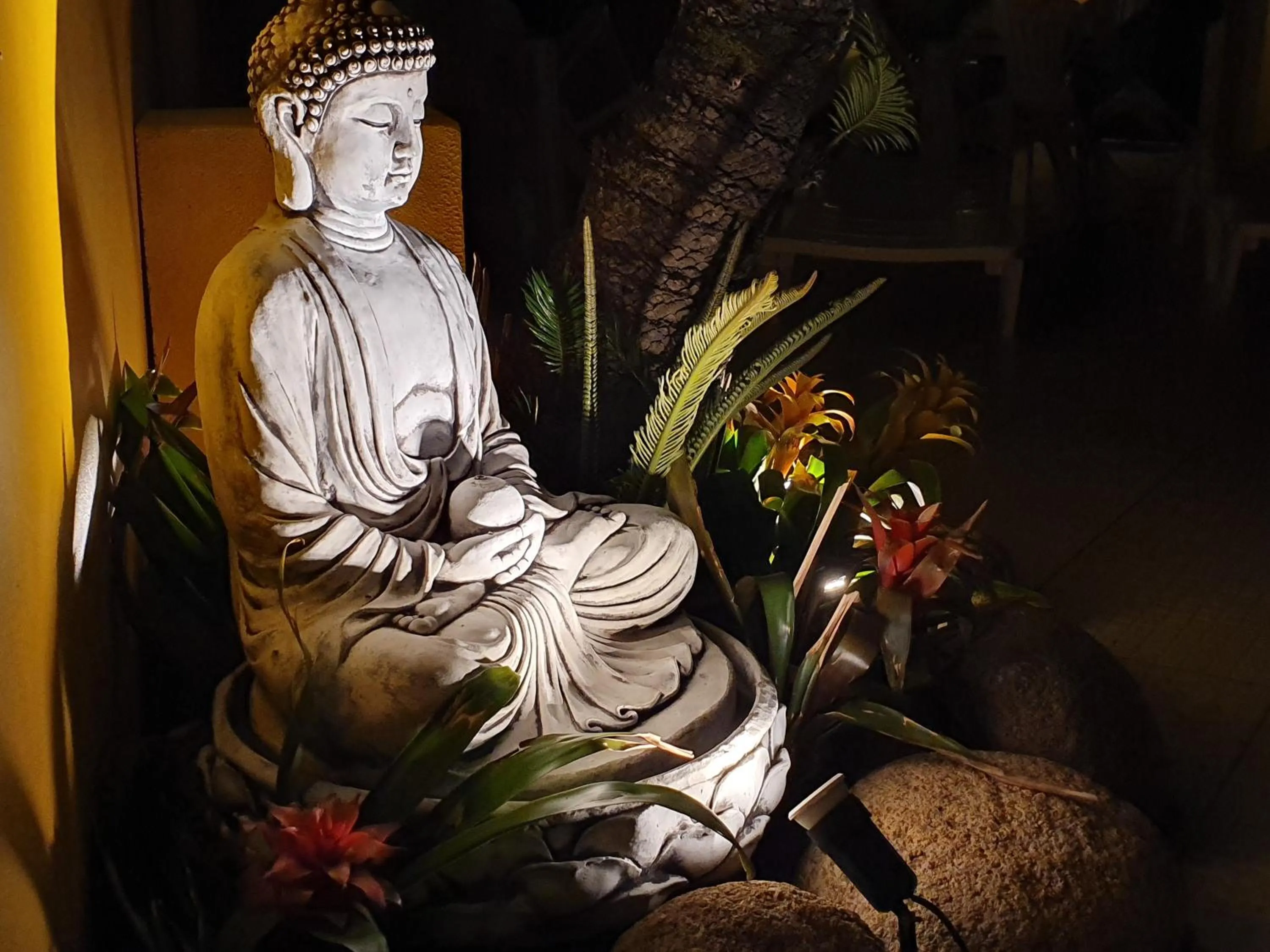 Garden in Pousada Maunaloa