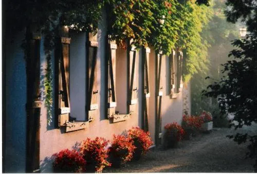 Garden view in Hostellerie Sarrasine, Mâcon Est - Teritoria