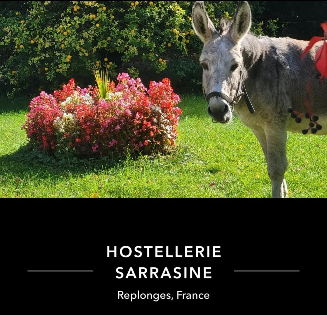 Animals in Hostellerie Sarrasine, Mâcon Est - Teritoria