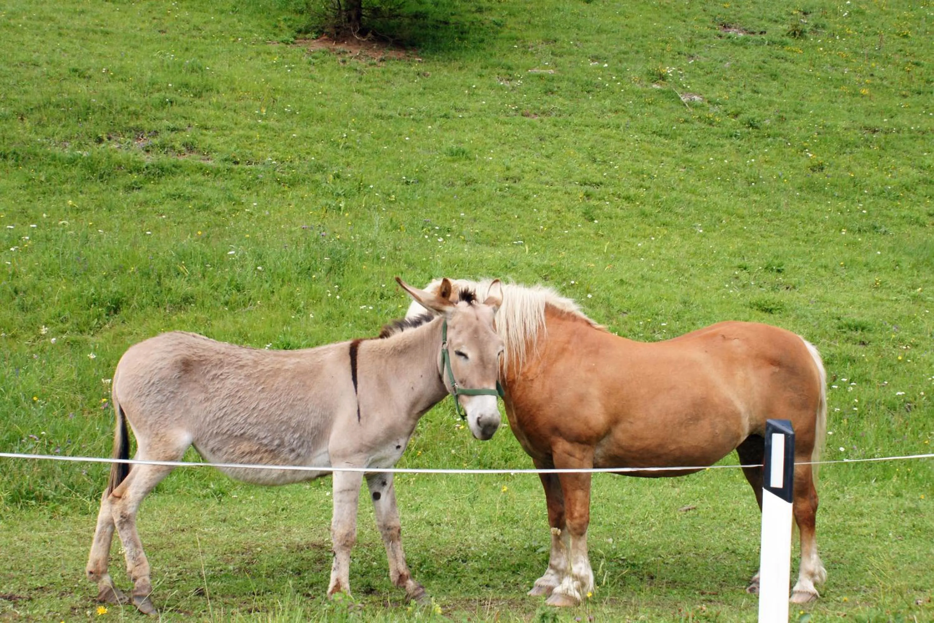 Other in Sporting Clubresidence