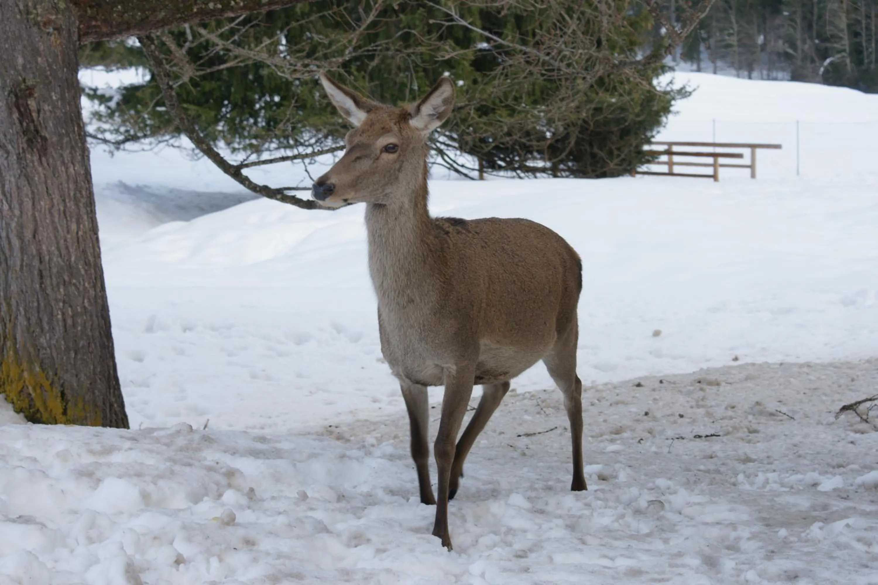 Other in Sporting Clubresidence