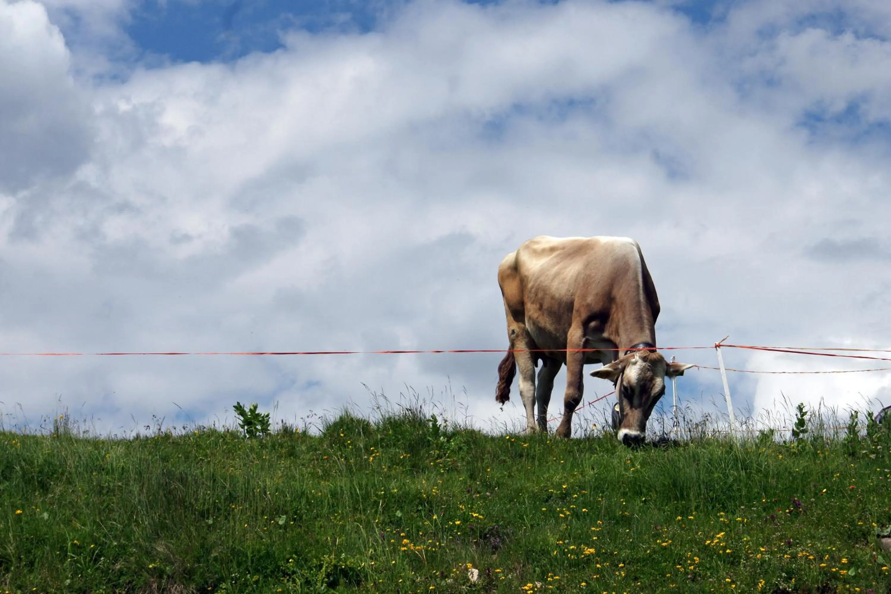 Other in Sporting Clubresidence