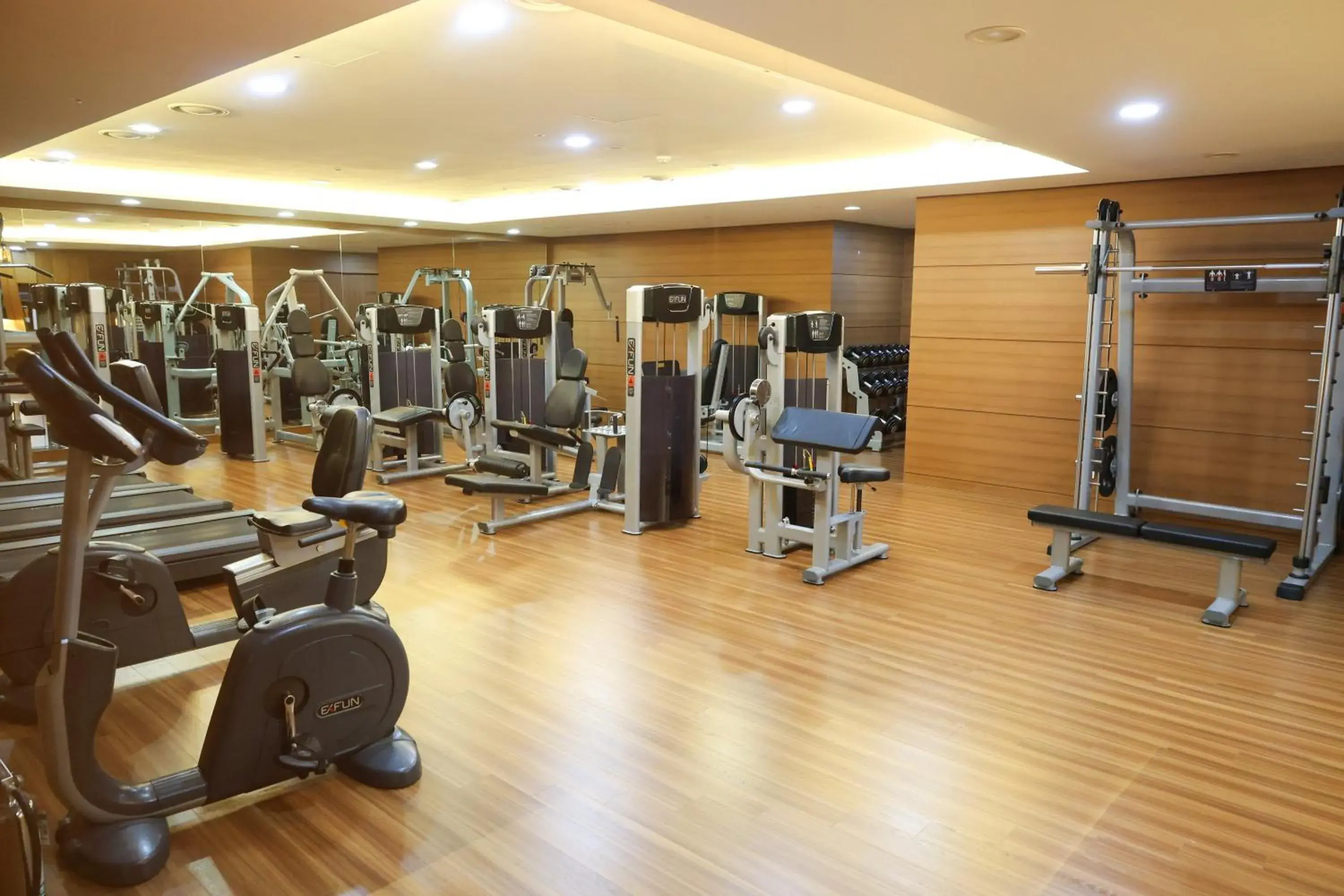 Fitness centre/facilities in Hotel Skypark Central Seoul Pangyo Fitness centre/facilities in Hotel Skypark Central Seoul Pangyo