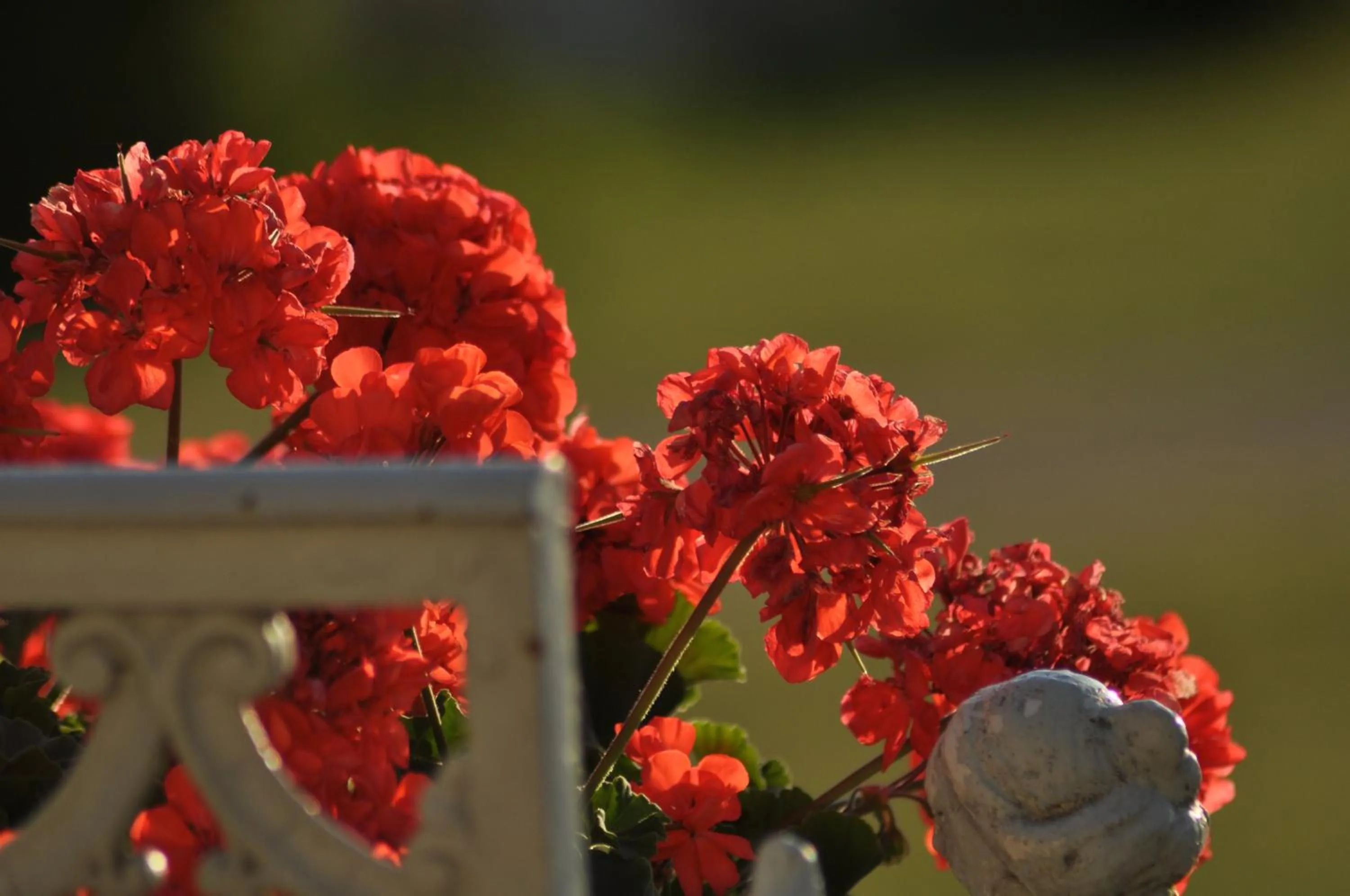 Decorative detail in Chambres d'hôtes au Château de Gizeux