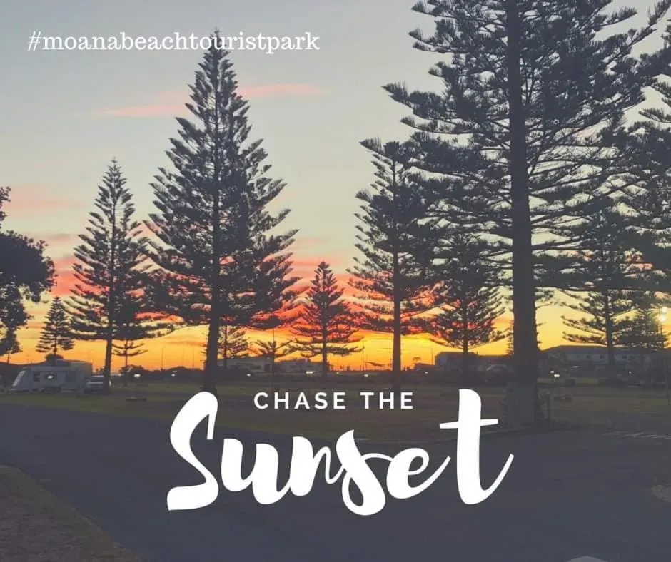 Property logo or sign in Moana Beach Tourist Park