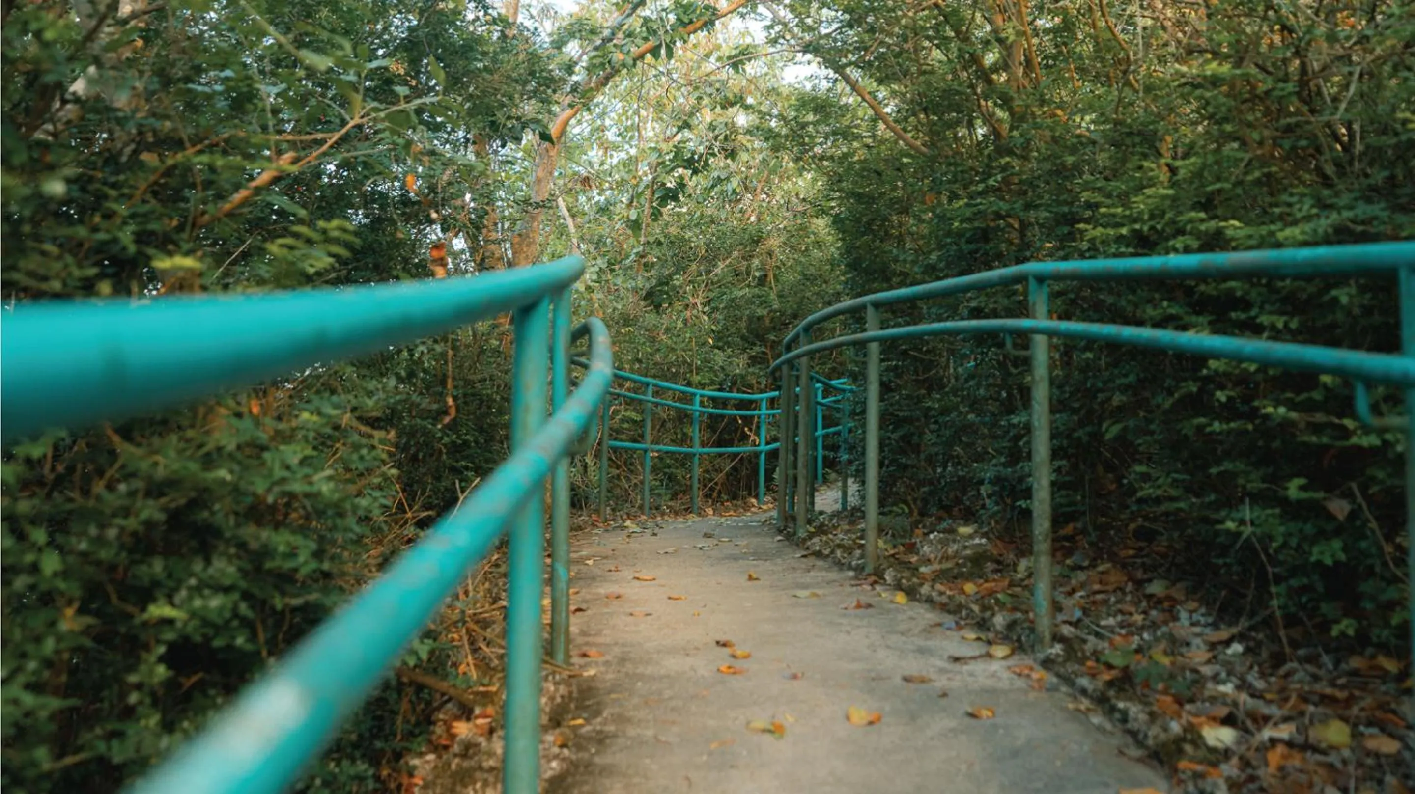 Hiking in Hotel Nikko Guam