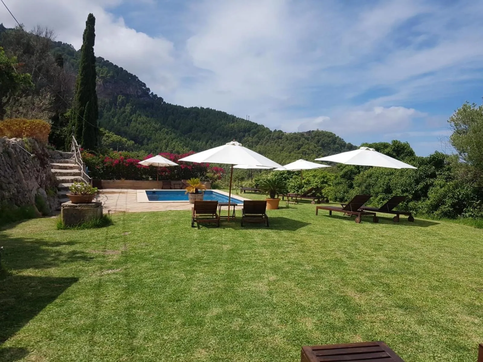 Garden in Sa Plana Petit Hotel