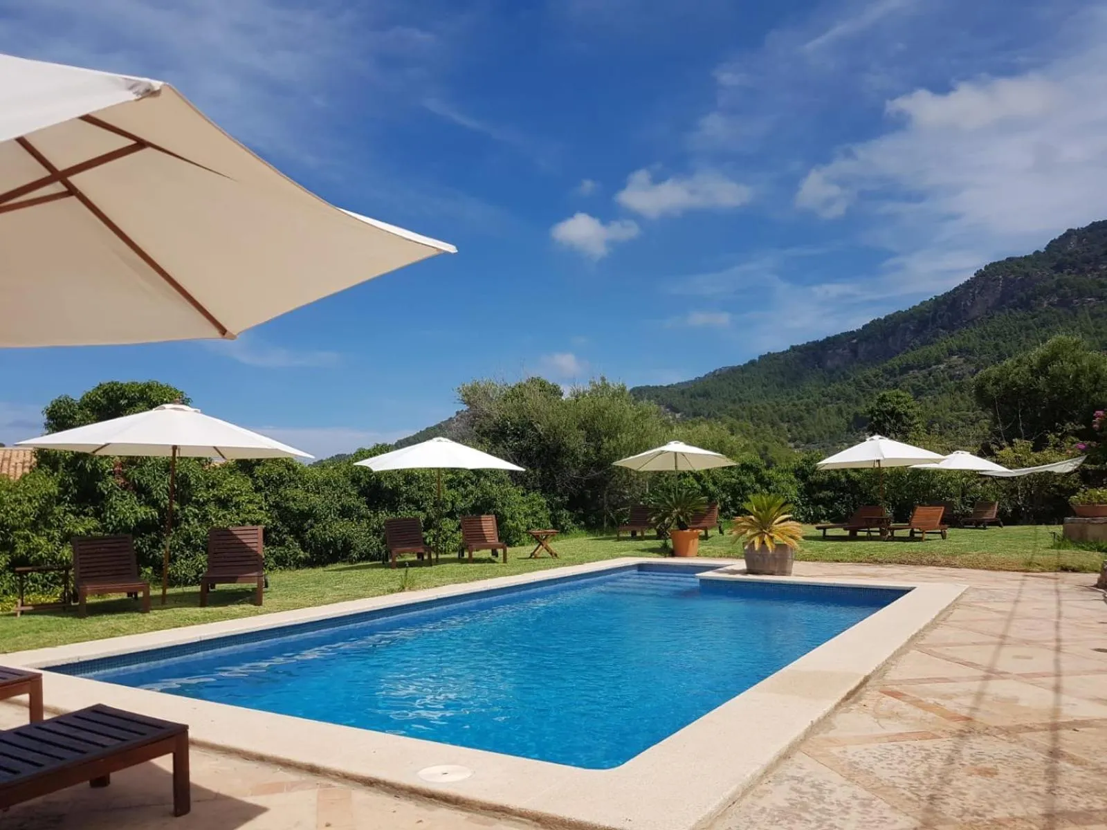 Garden in Sa Plana Petit Hotel