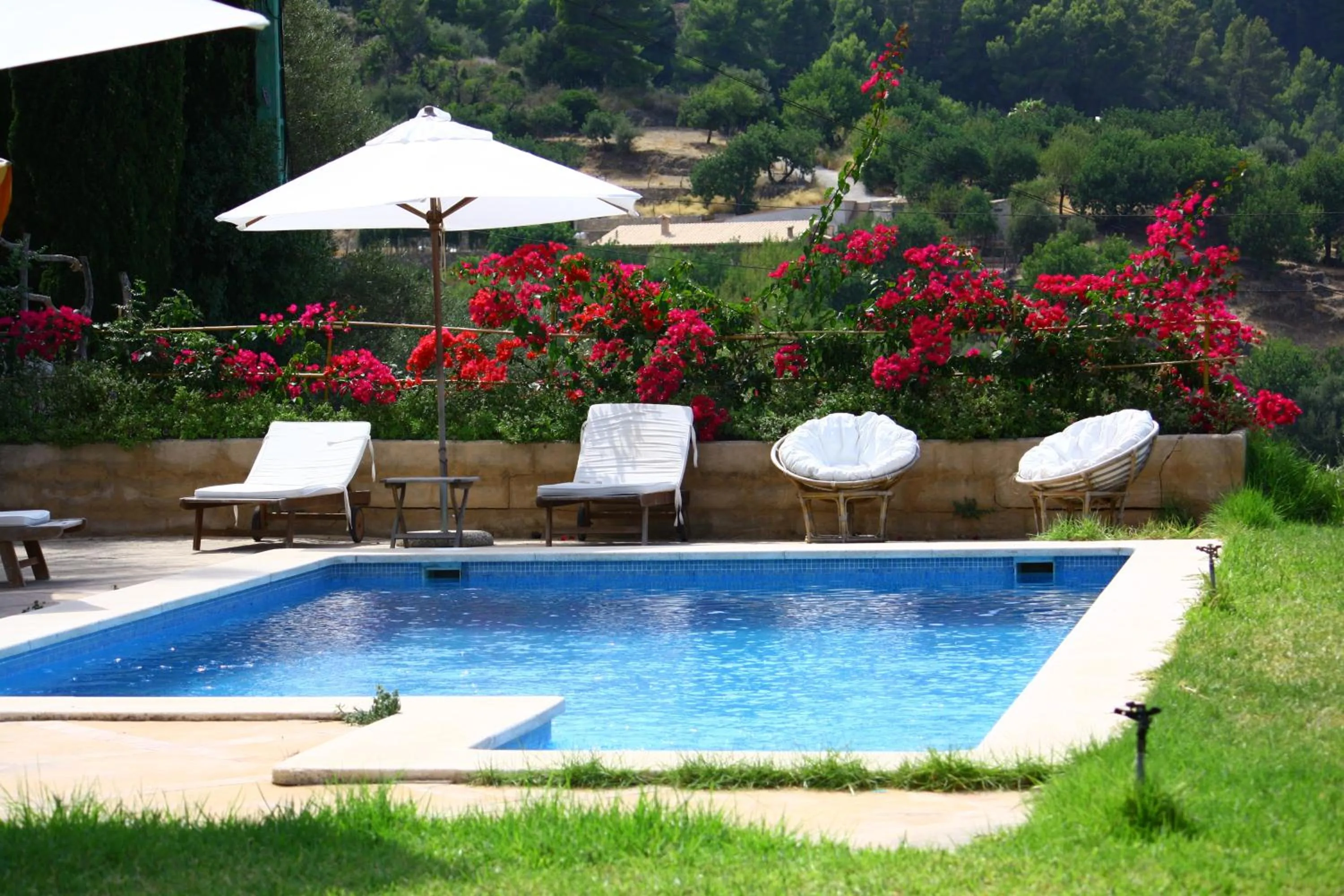 Swimming pool in Sa Plana Petit Hotel