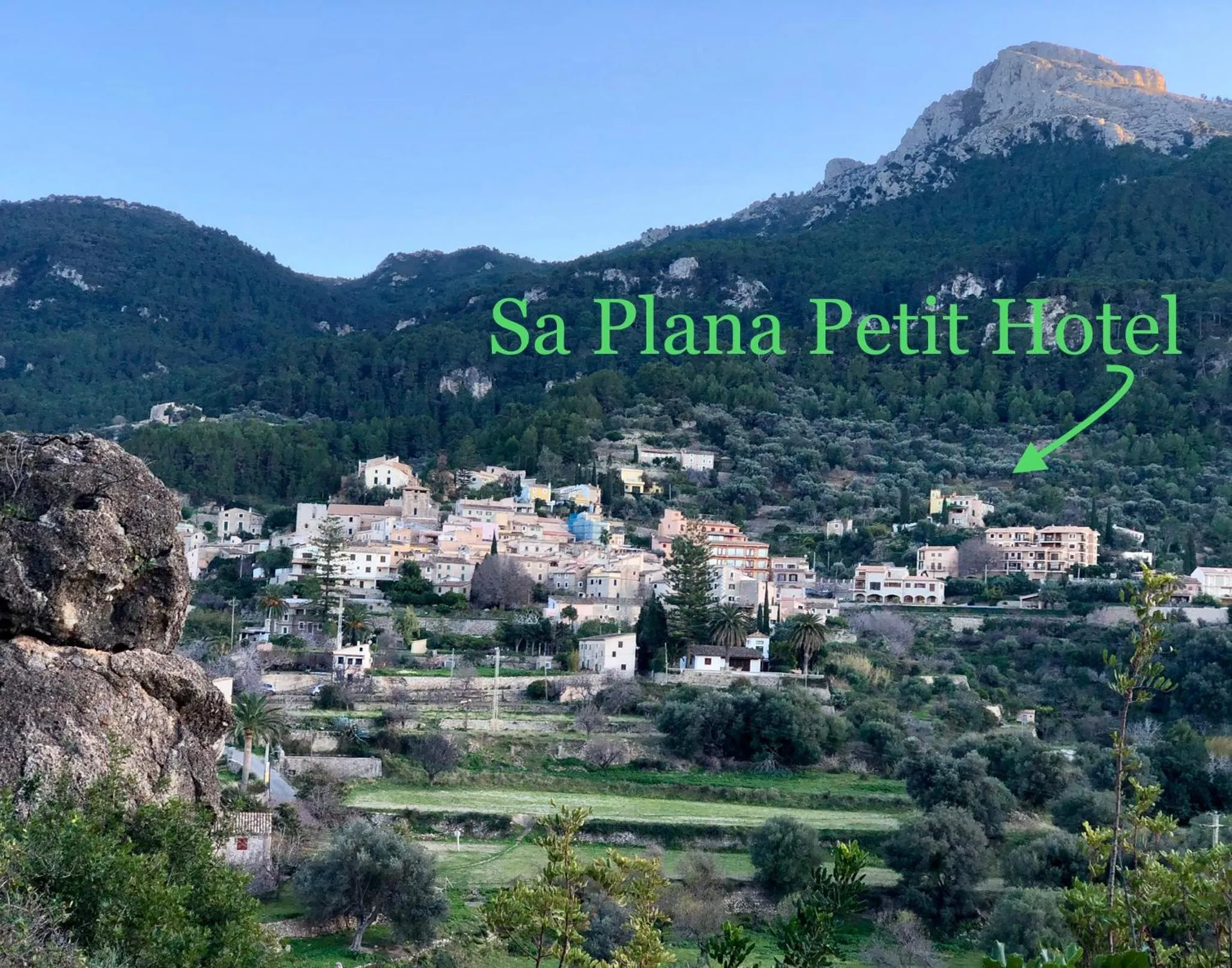 Nearby landmark in Sa Plana Petit Hotel