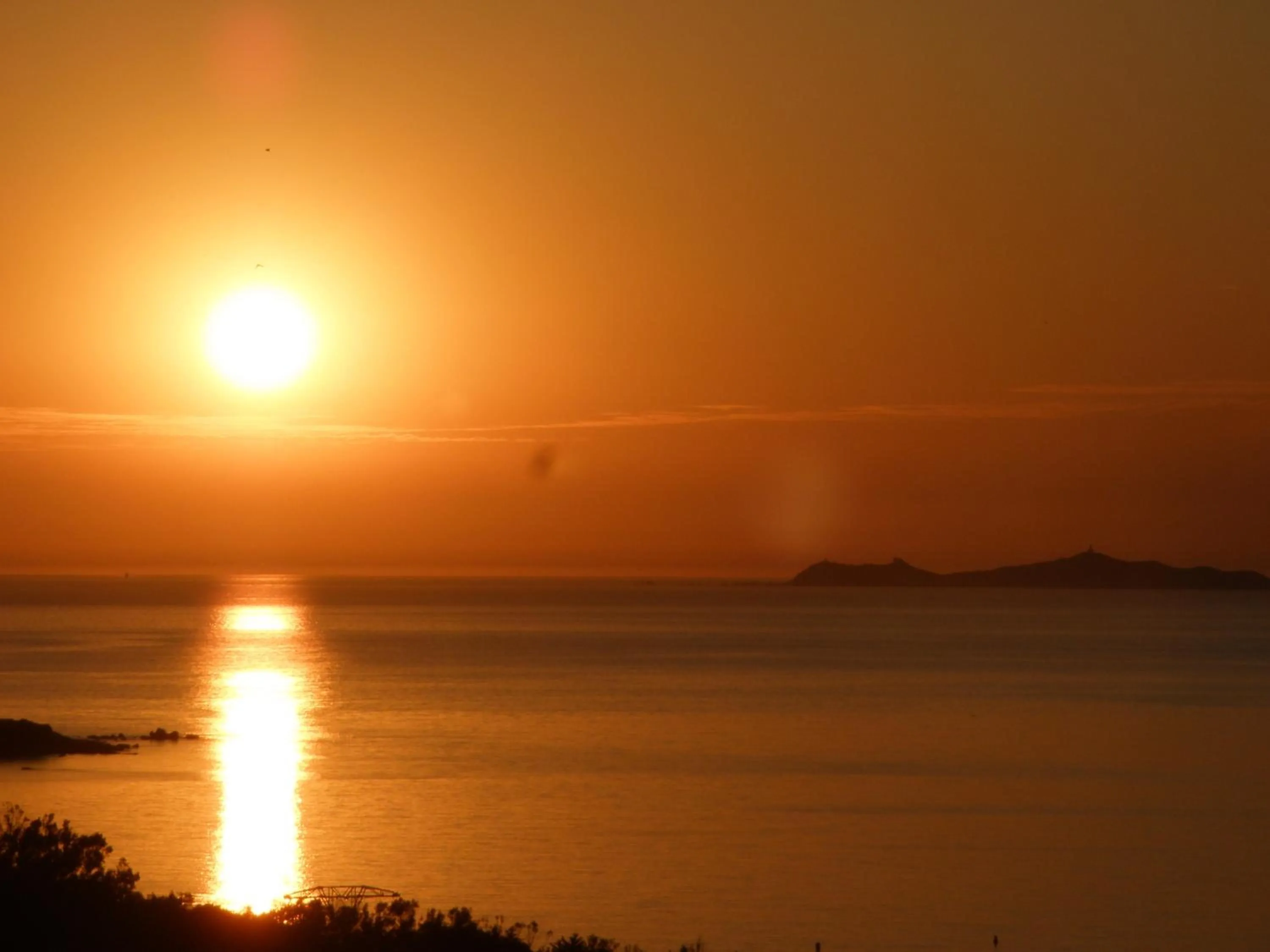 View (from property/room) in Hotel Celine