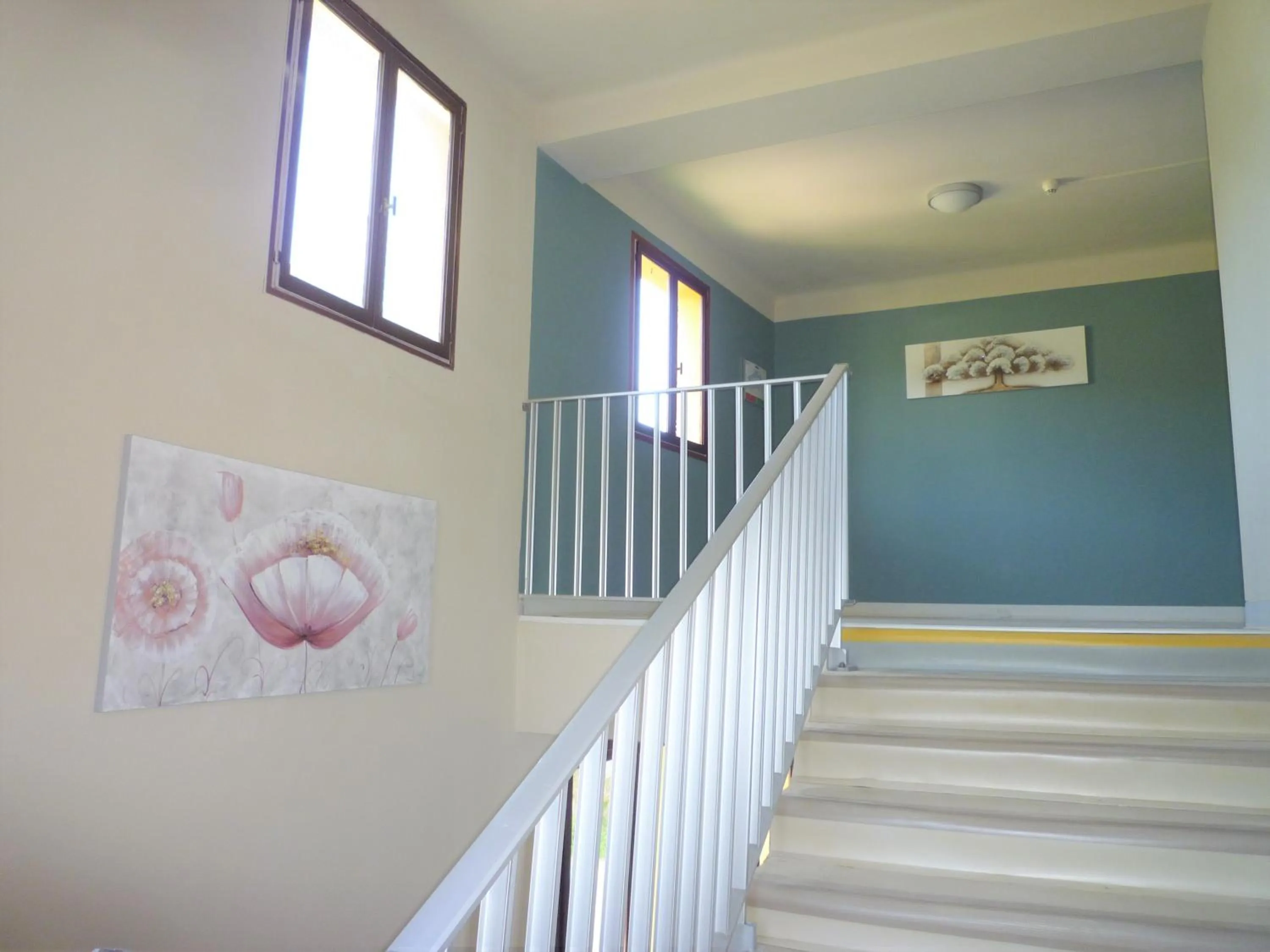 Area and facilities in Hotel Celine