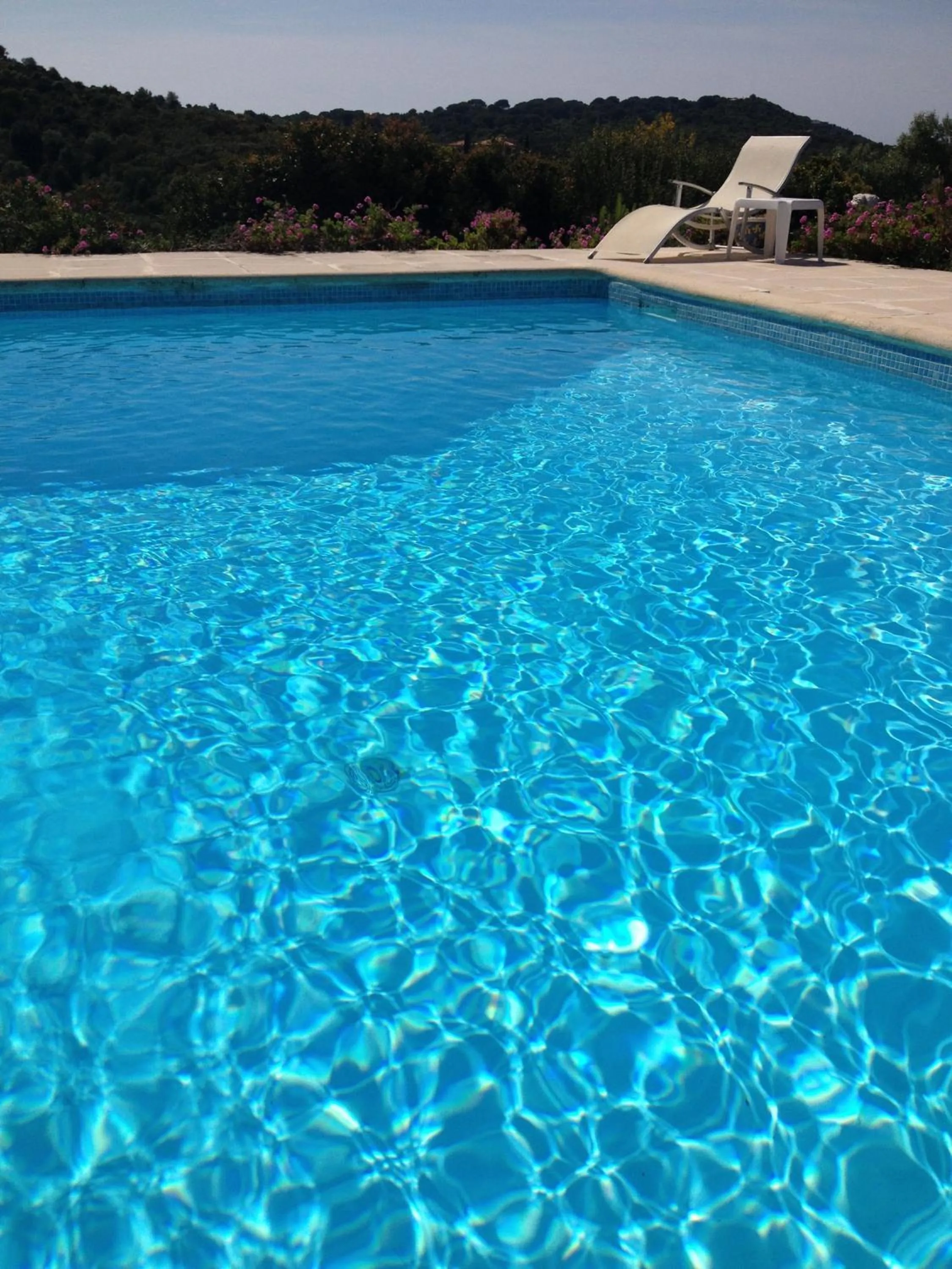 Swimming pool in Hotel Celine
