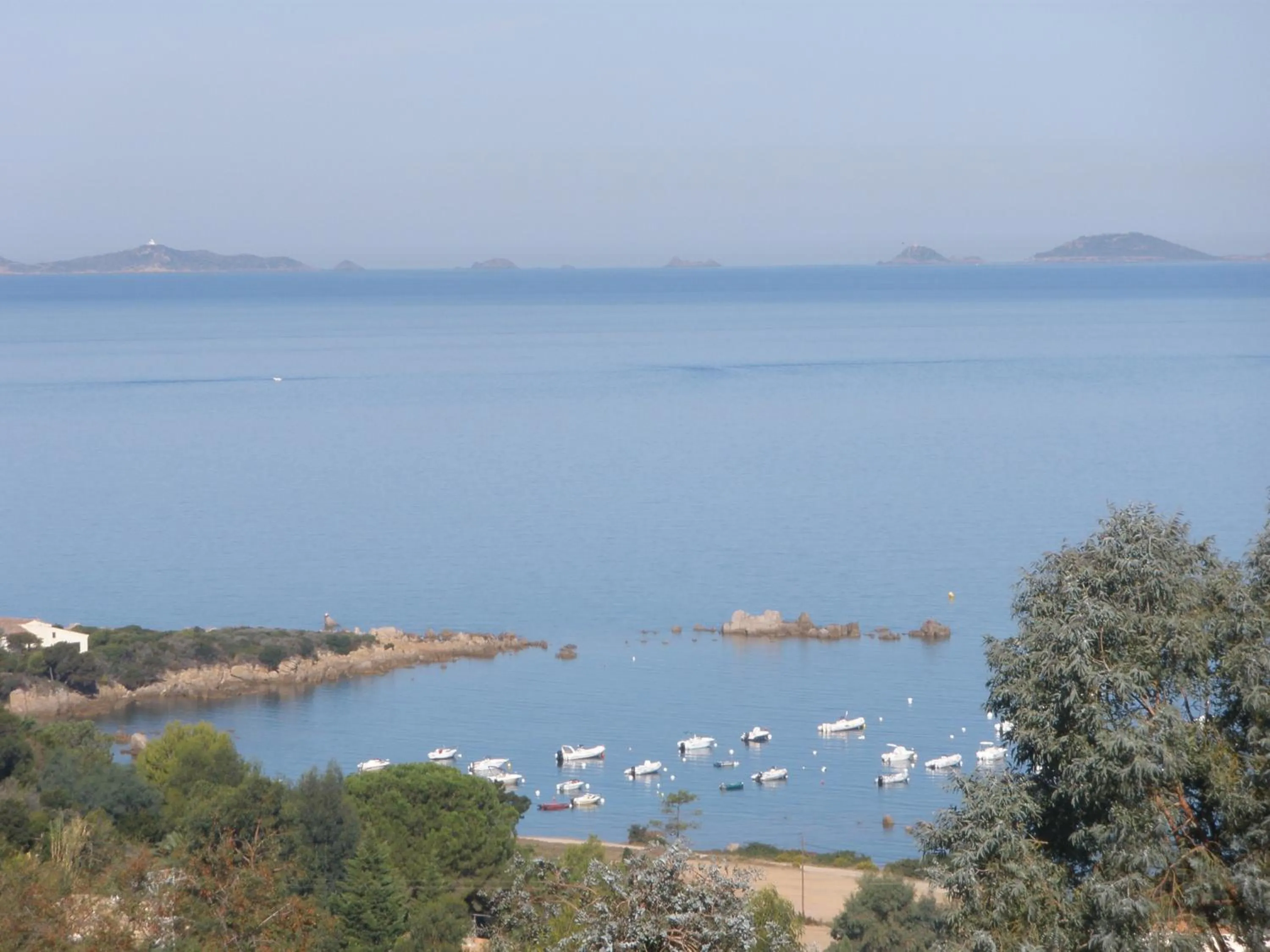 View (from property/room) in Hotel Celine