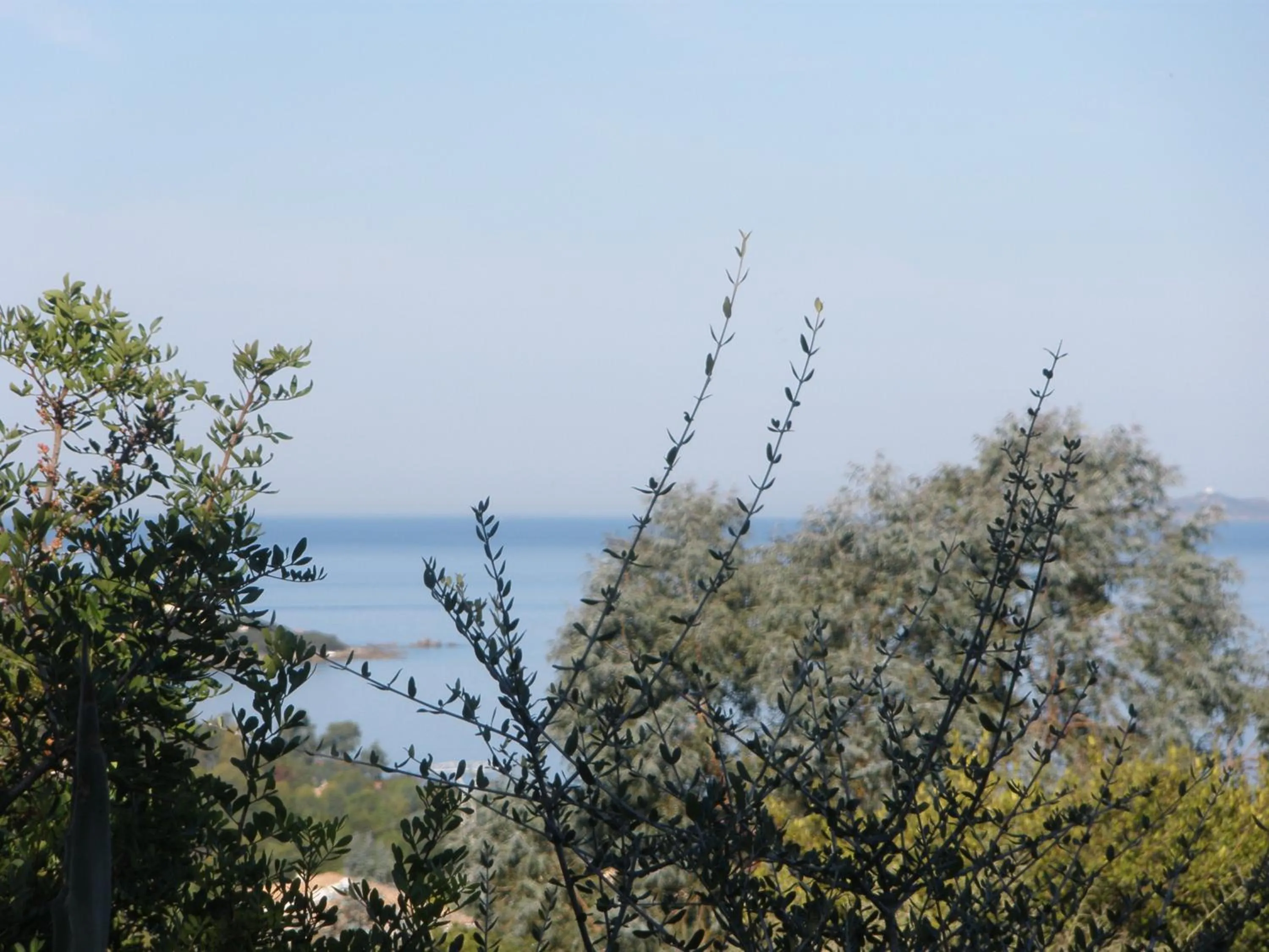 Sea view in Hotel Celine