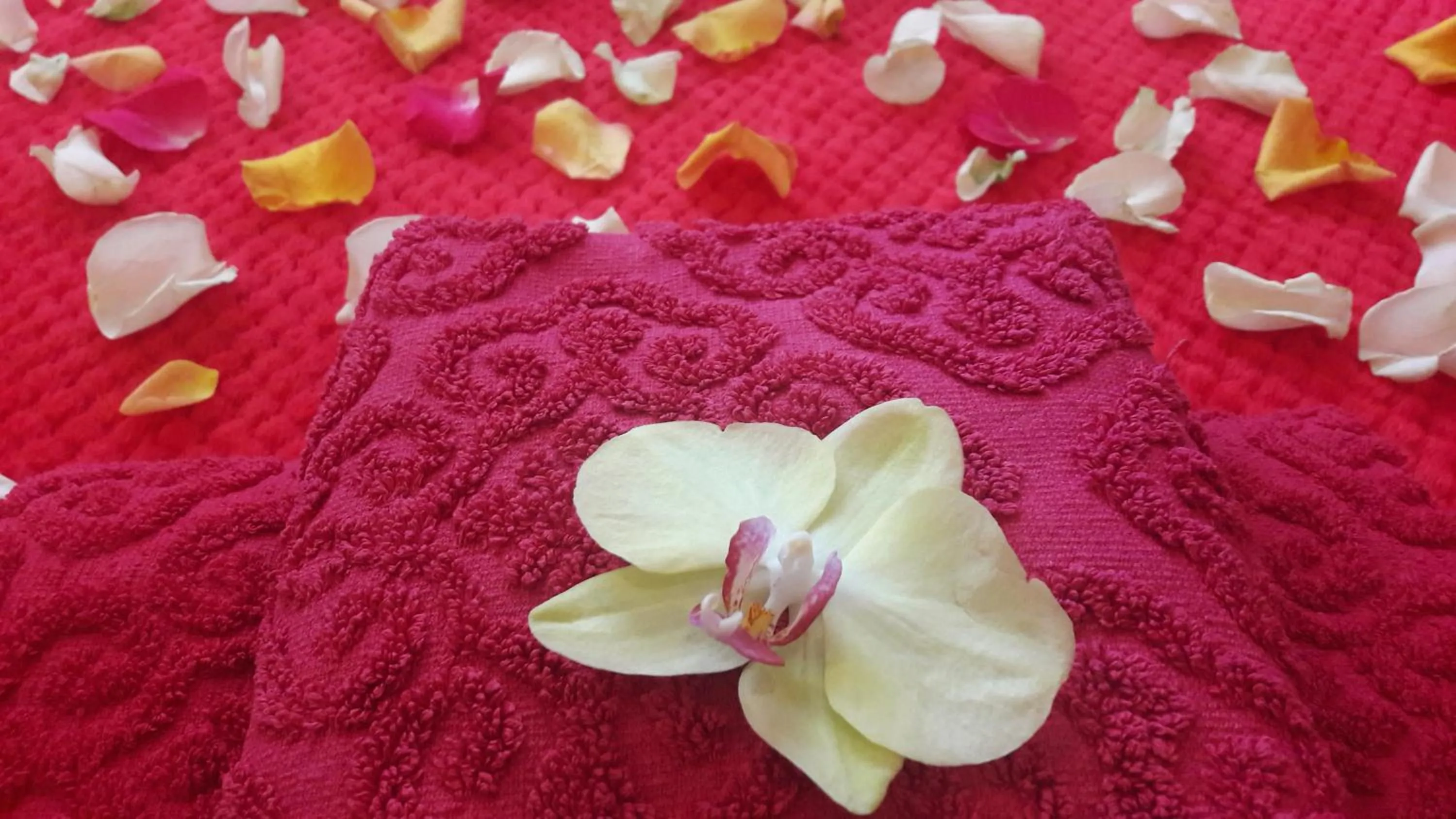 Other in Jacuzzi Apartment Red