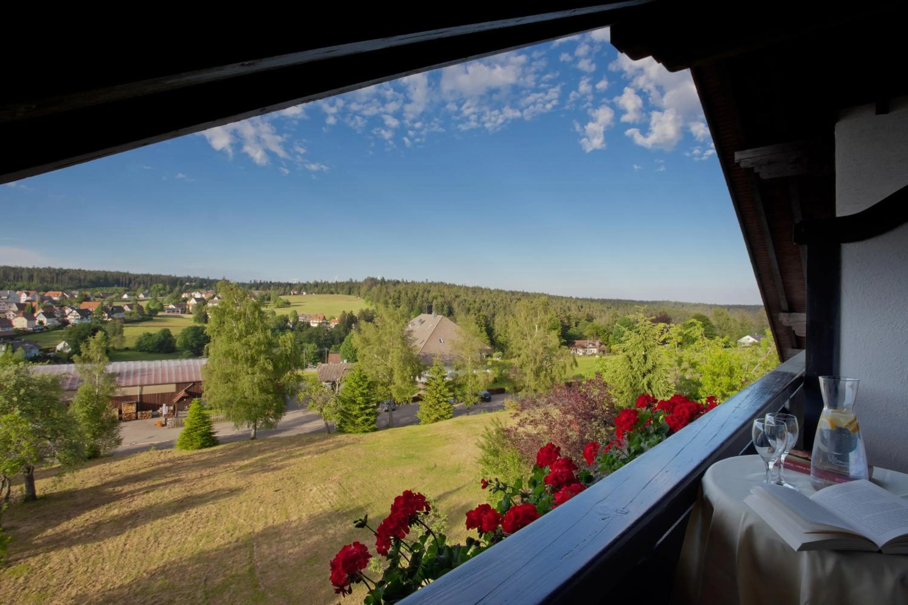 Garden view in Hotel Konradshof