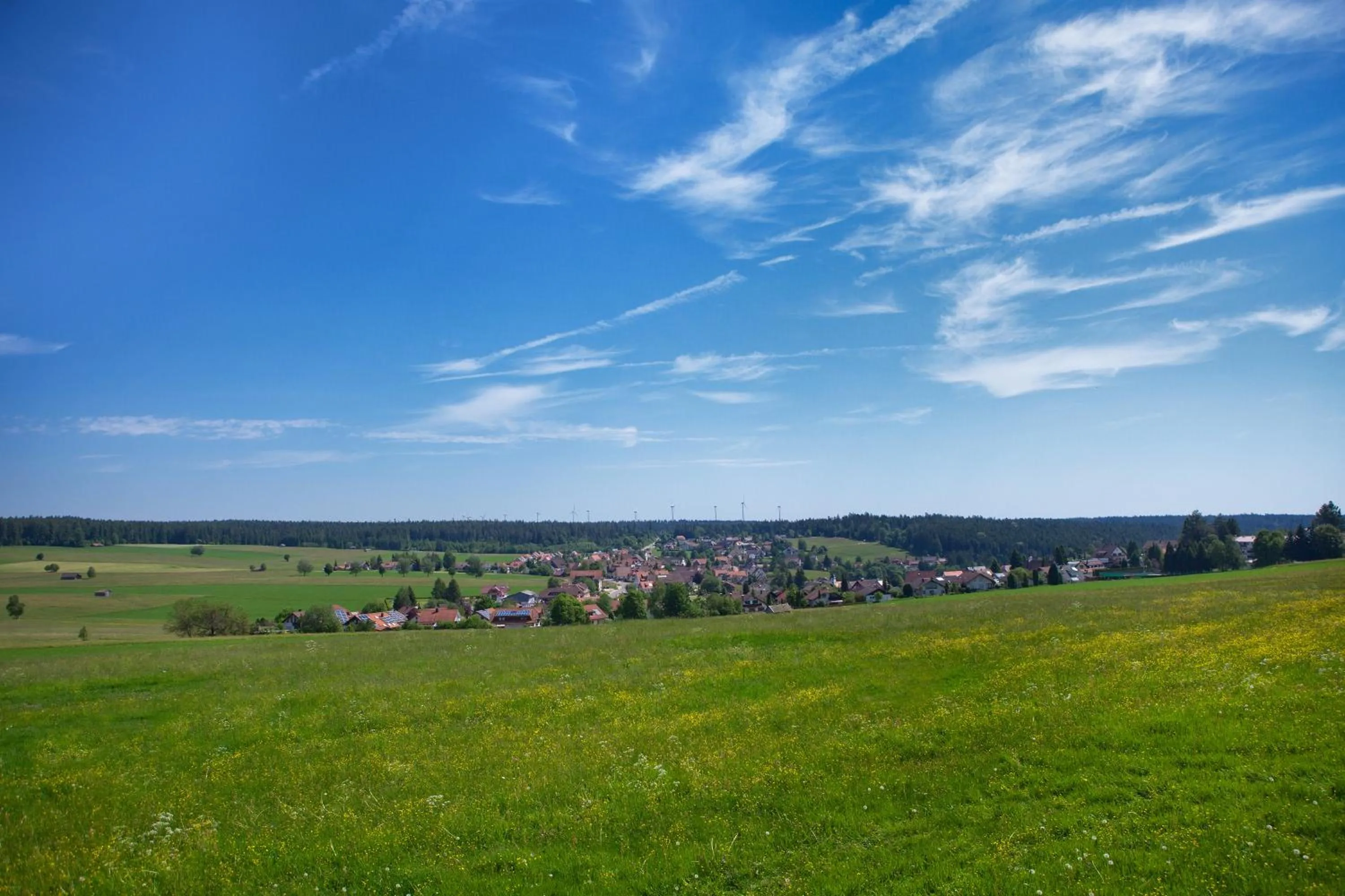 Natural landscape in Hotel Konradshof