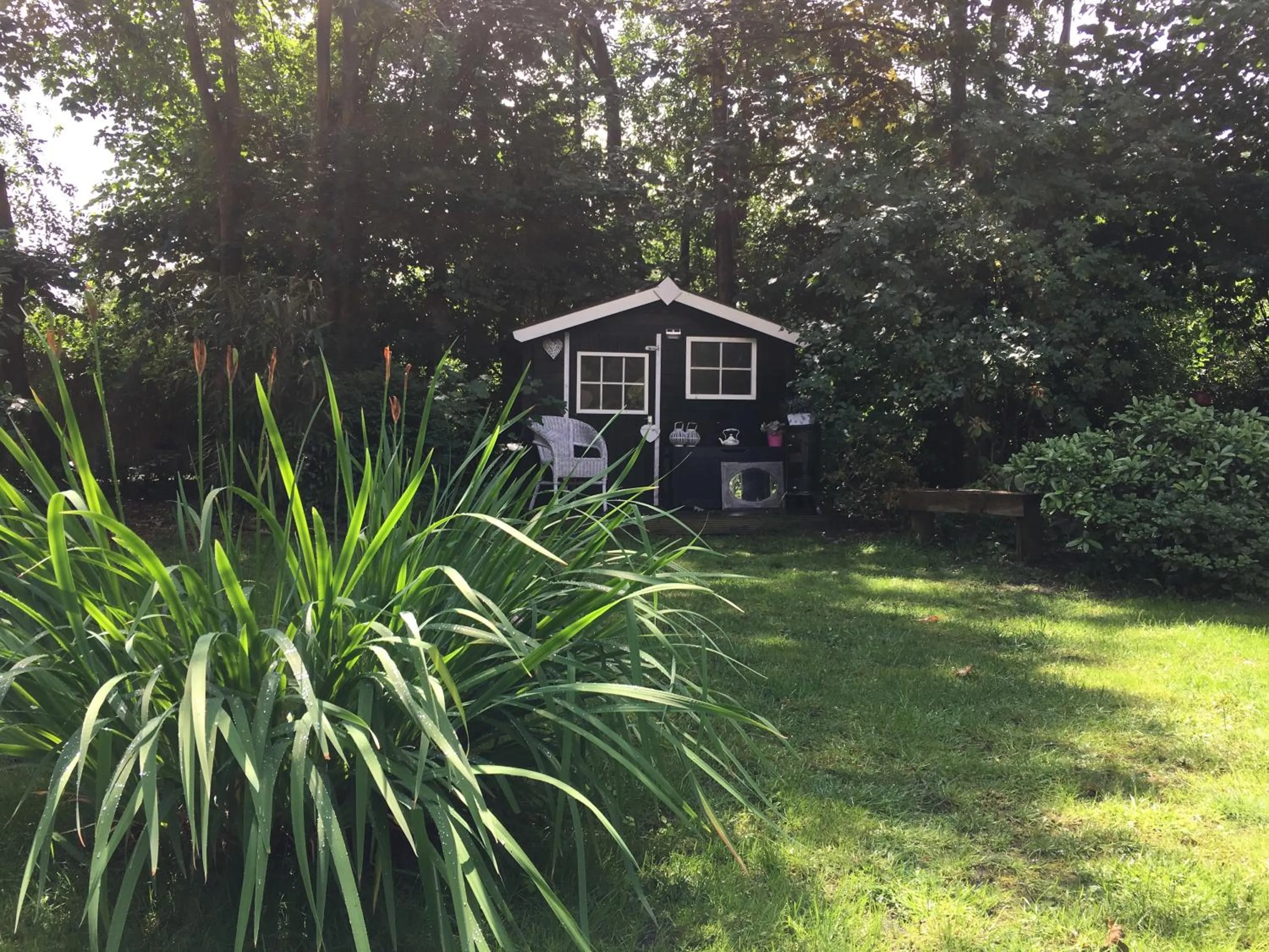 Garden in Gastenverblijf 't Achterhoes