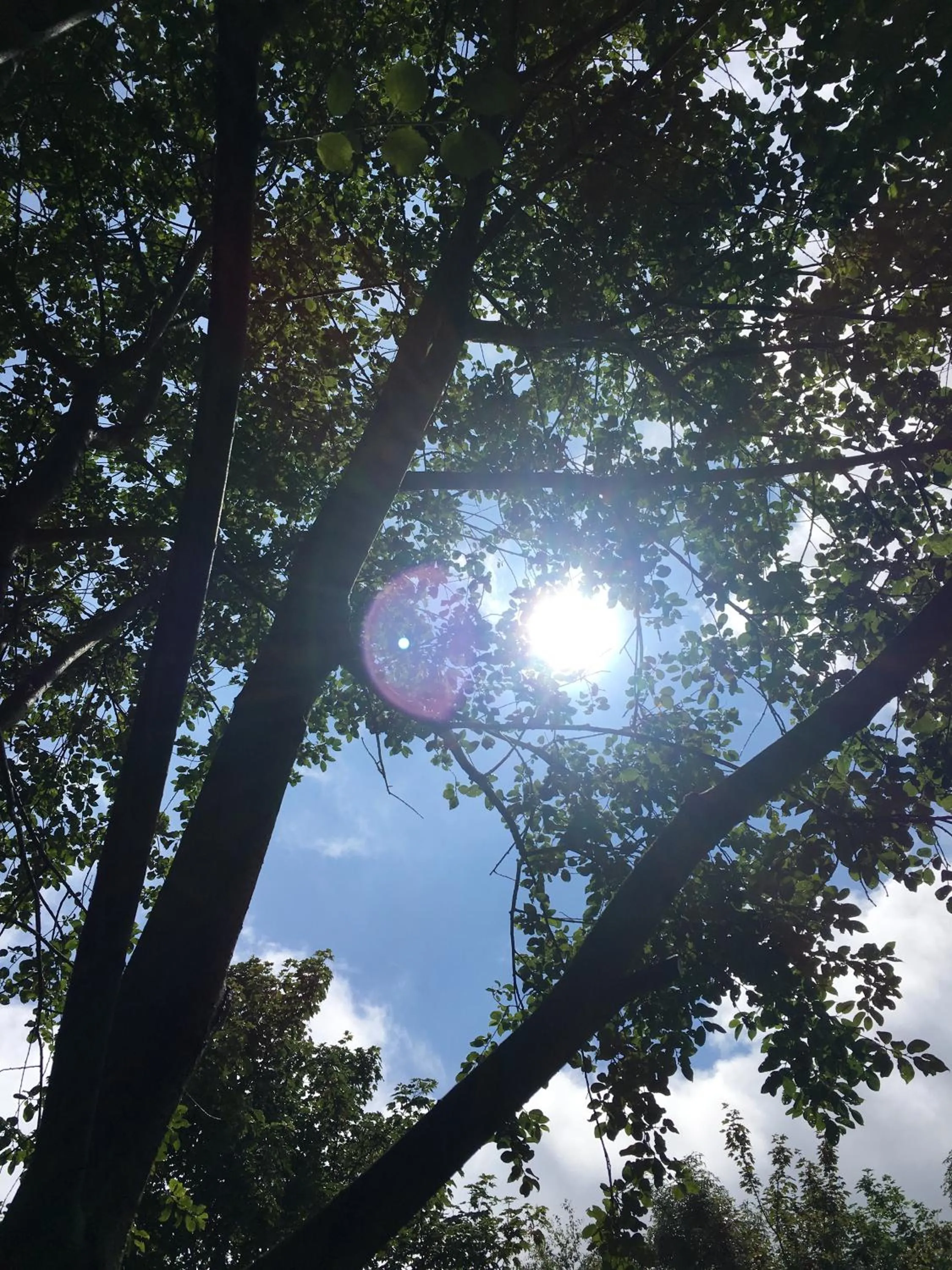 Natural landscape in Gastenverblijf 't Achterhoes