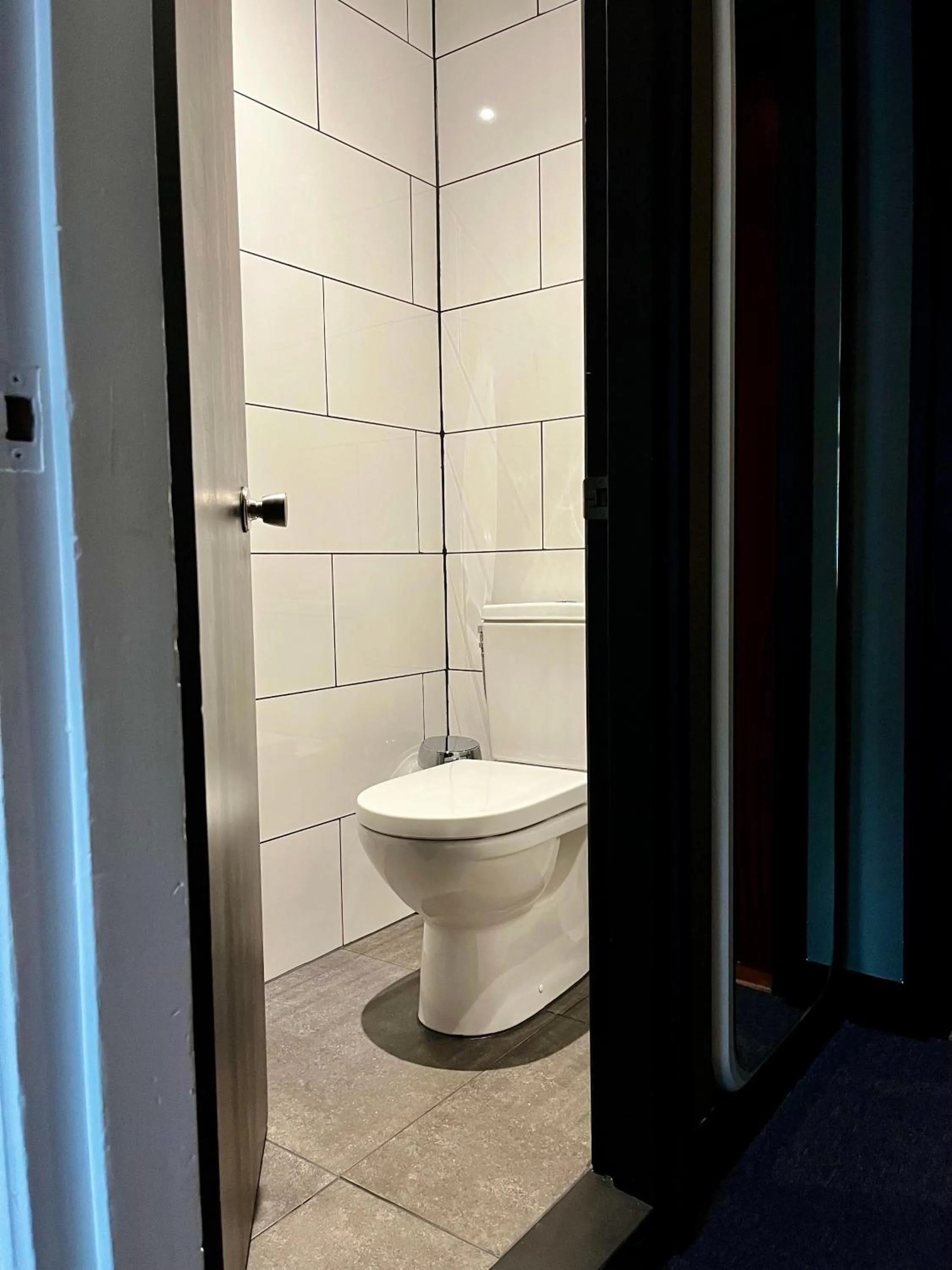 Toilet in Hotel De Roode Leeuw Terborg