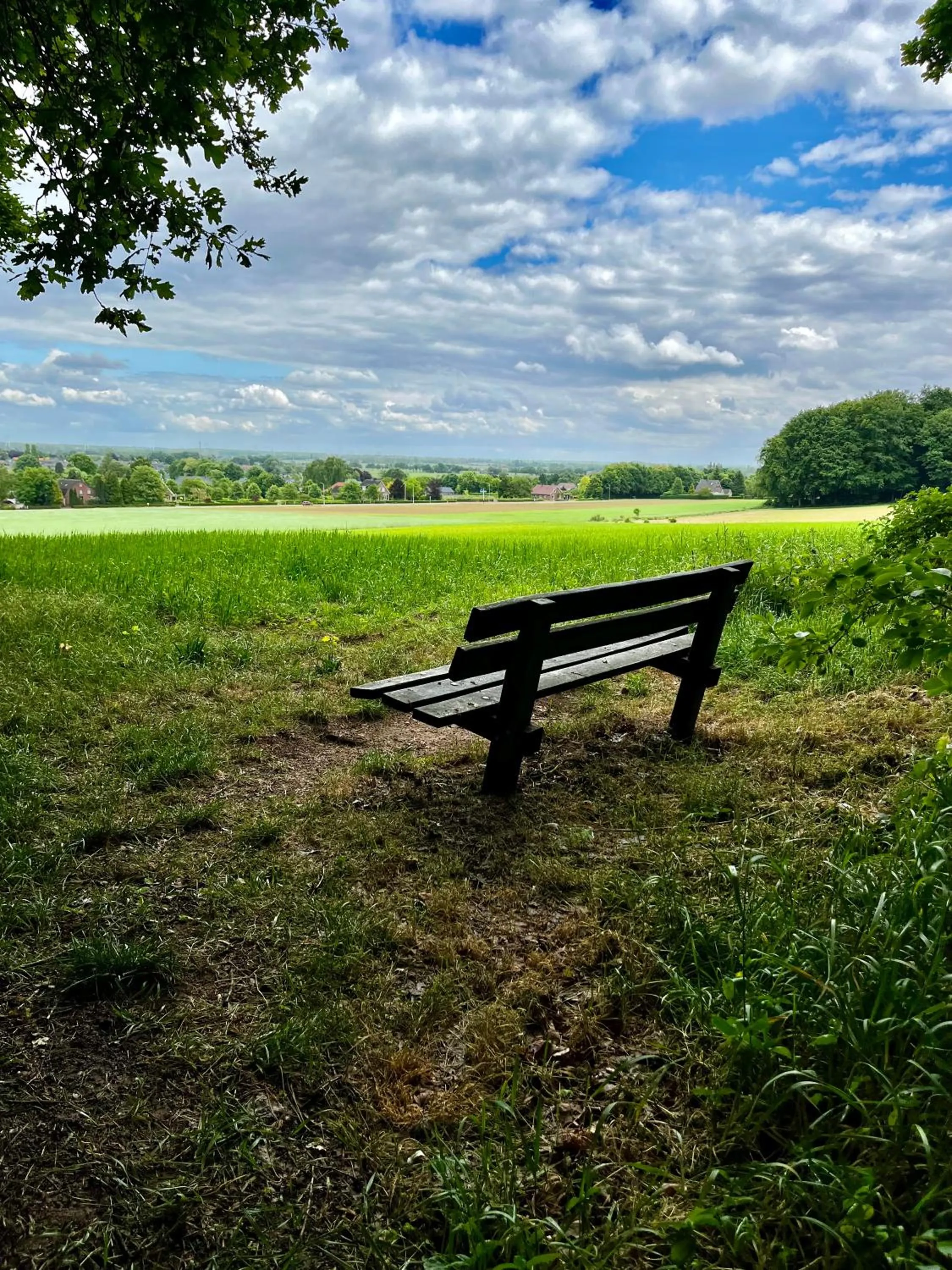 Natural landscape in Hotel De Roode Leeuw Terborg