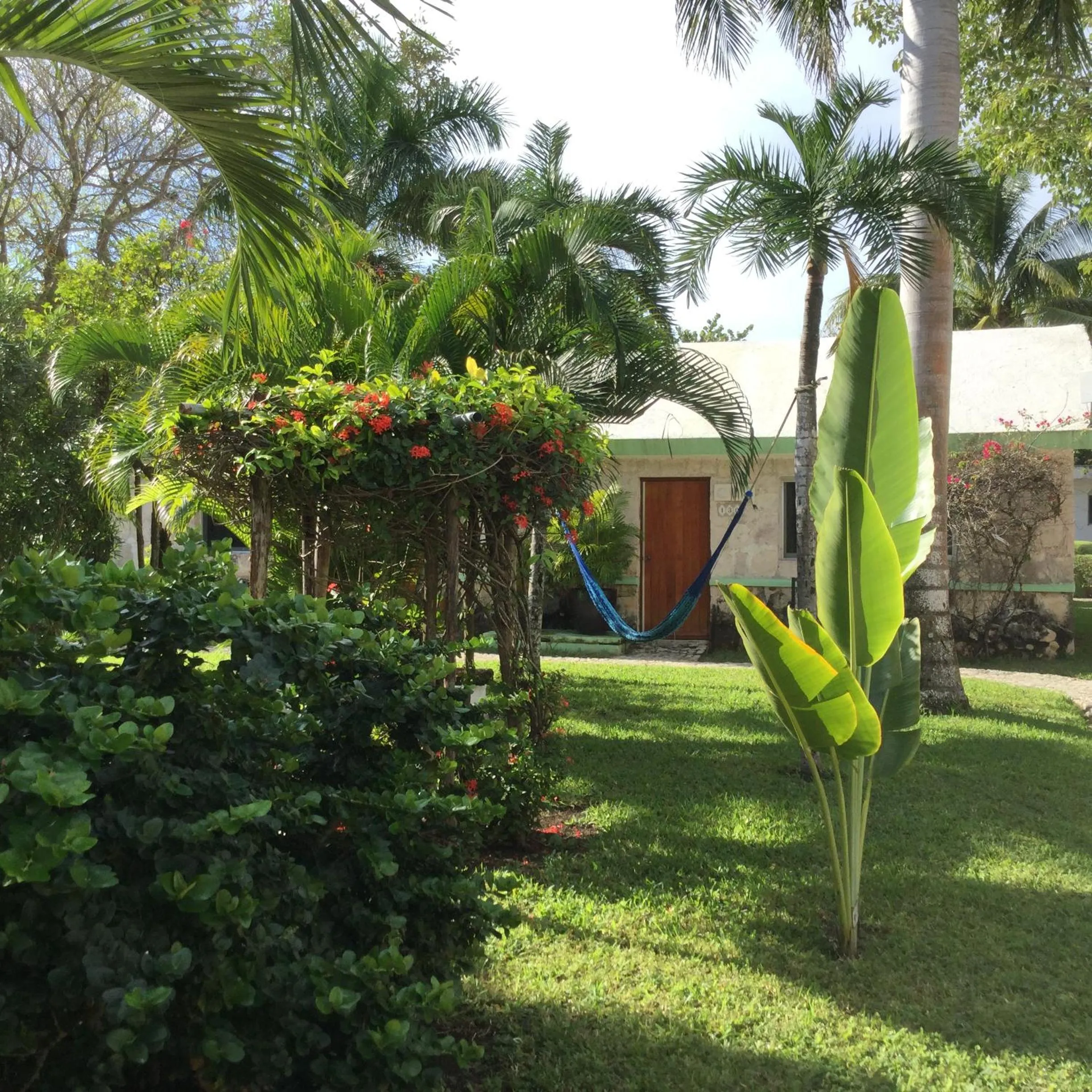Garden view in Hotel Club Akumal Caribe