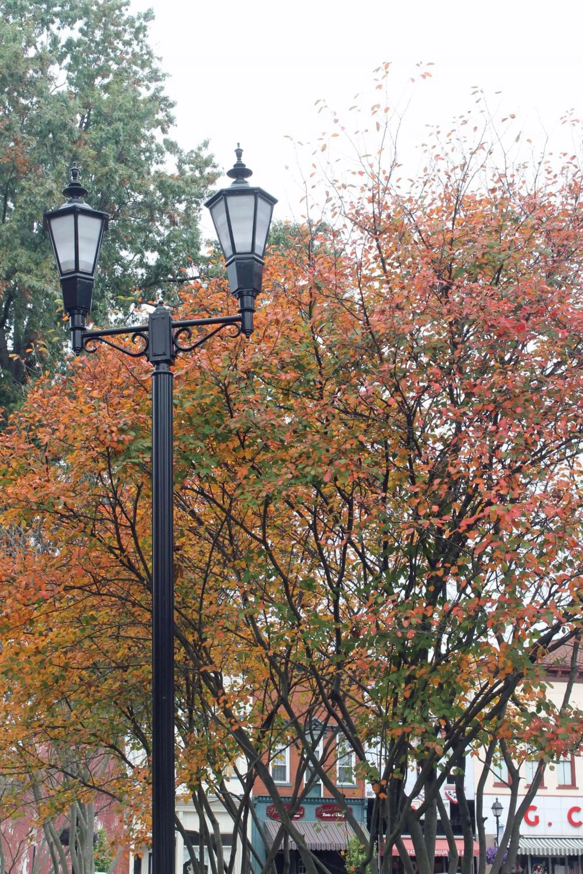 Property building in Hampton Inn Gallipolis