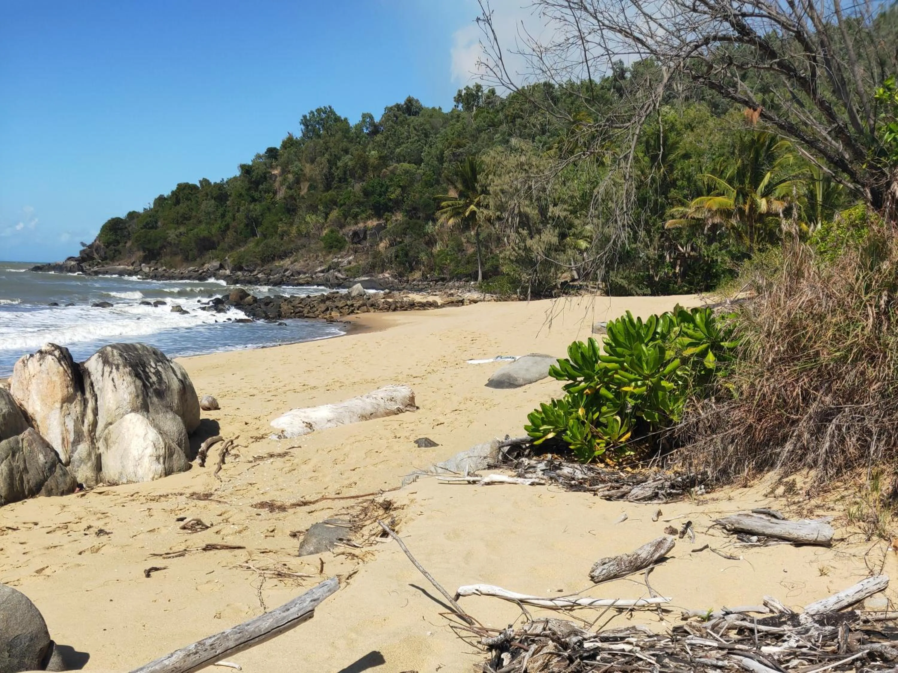 Beach in Turtle Cove Beach Resort - Adults Only LGBTQIA & Allies