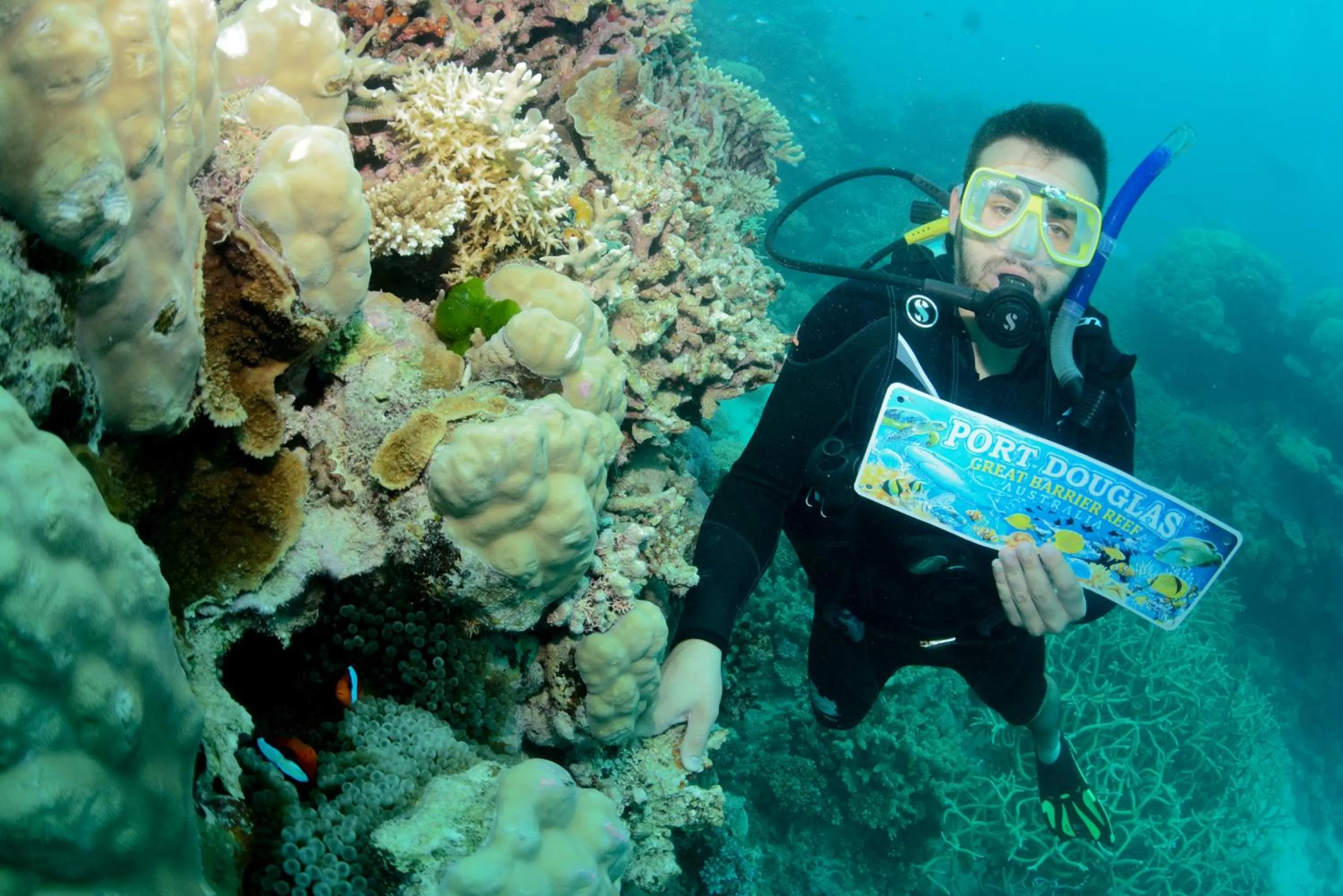 Diving in Turtle Cove Beach Resort - Adults Only LGBTQIA & Allies