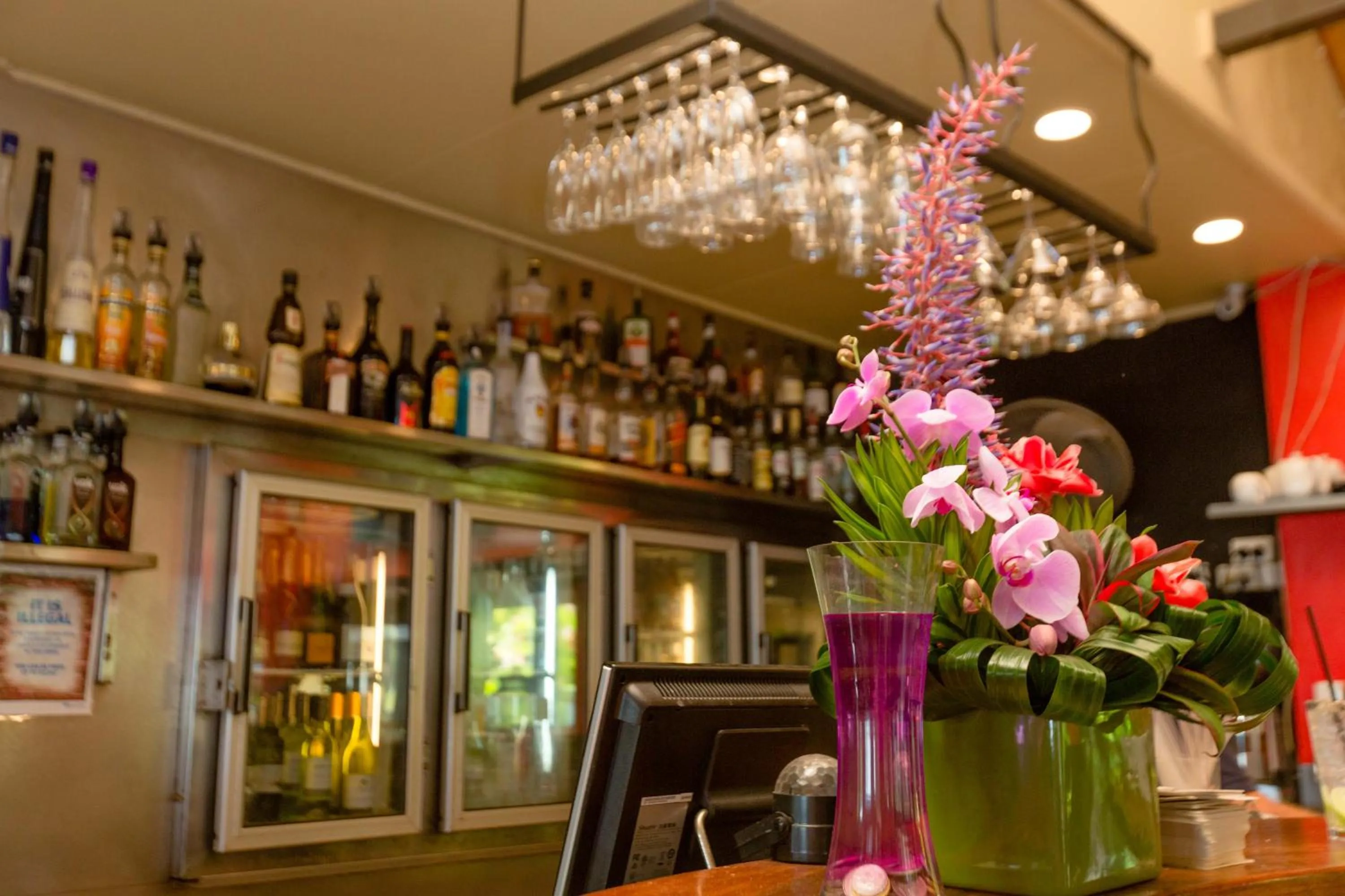 Lounge or bar in Turtle Cove Beach Resort - Adults Only LGBTQIA & Allies