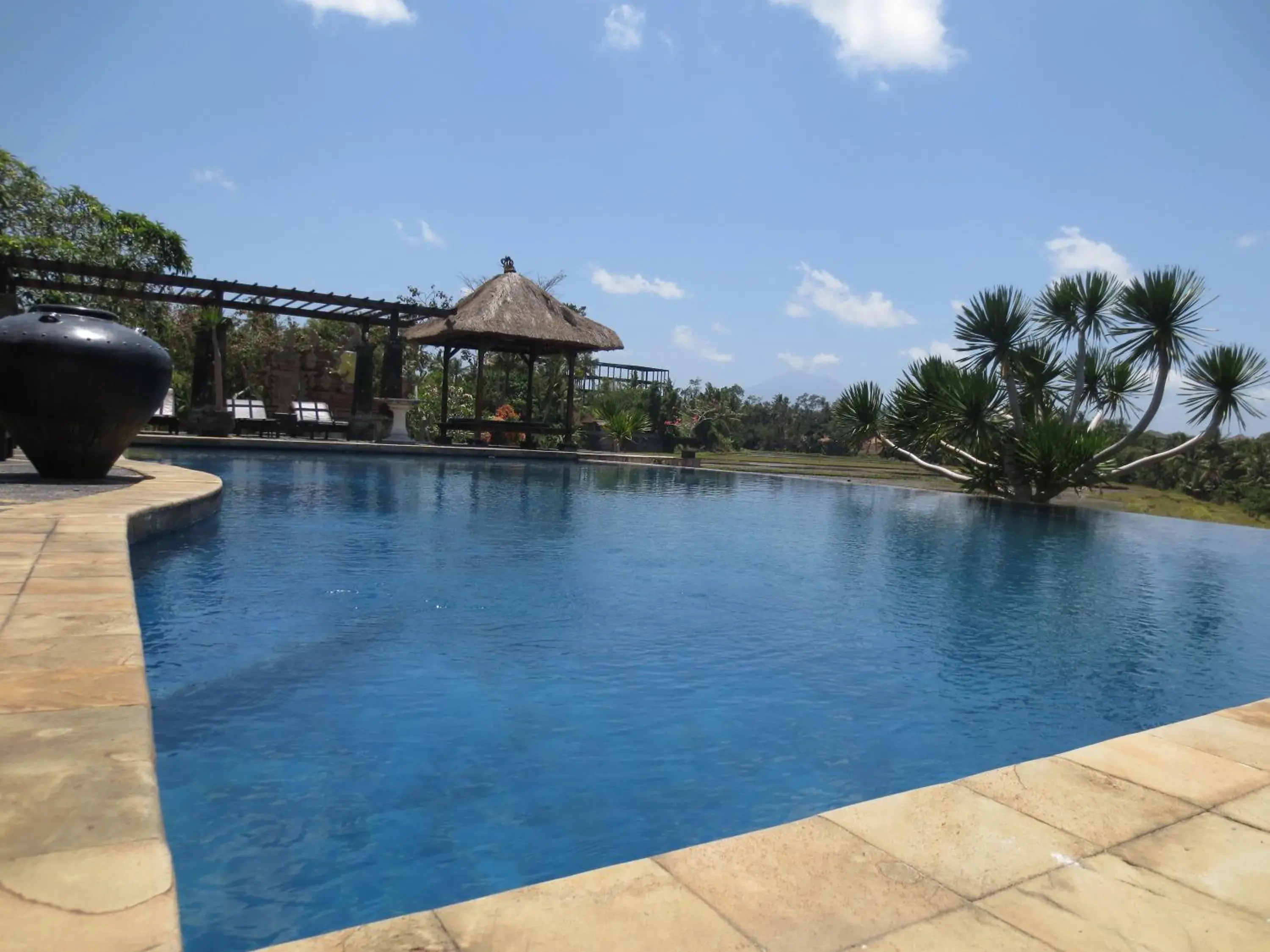 Swimming pool in Bumi Ubud Resort Swimming pool in Bumi Ubud Resort