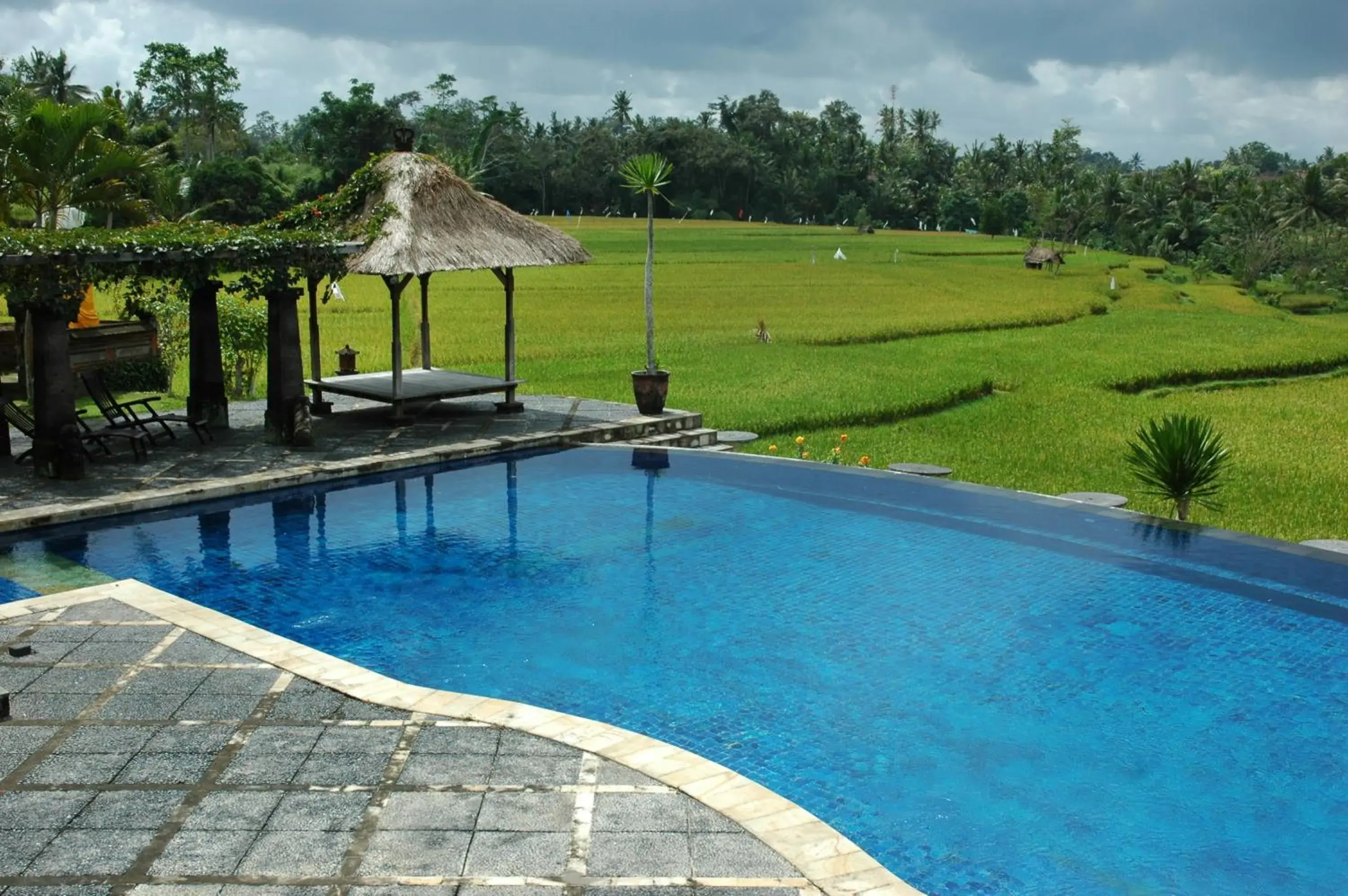Swimming pool in Bumi Ubud Resort Swimming pool in Bumi Ubud Resort