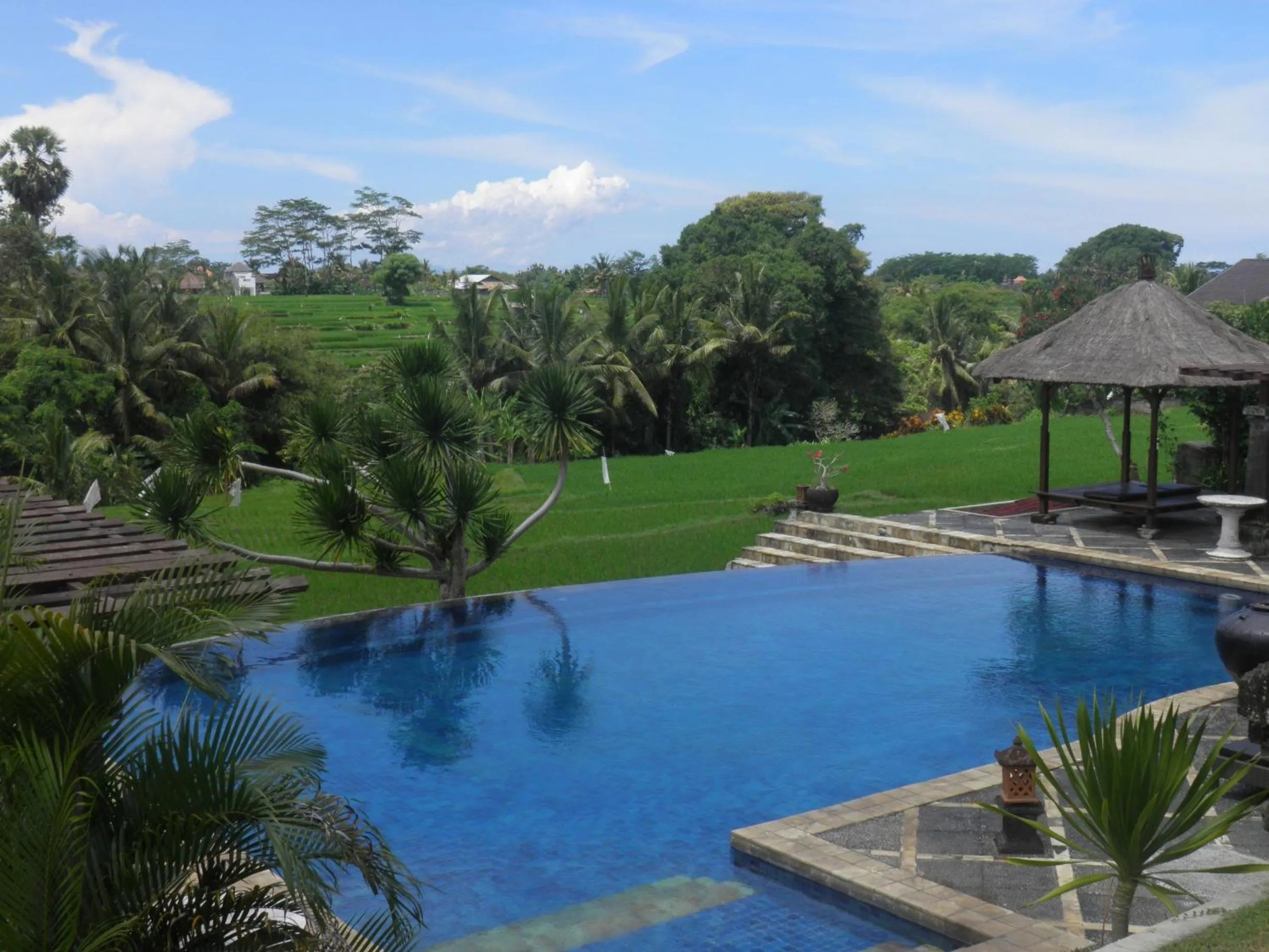 Swimming pool in Bumi Ubud Resort