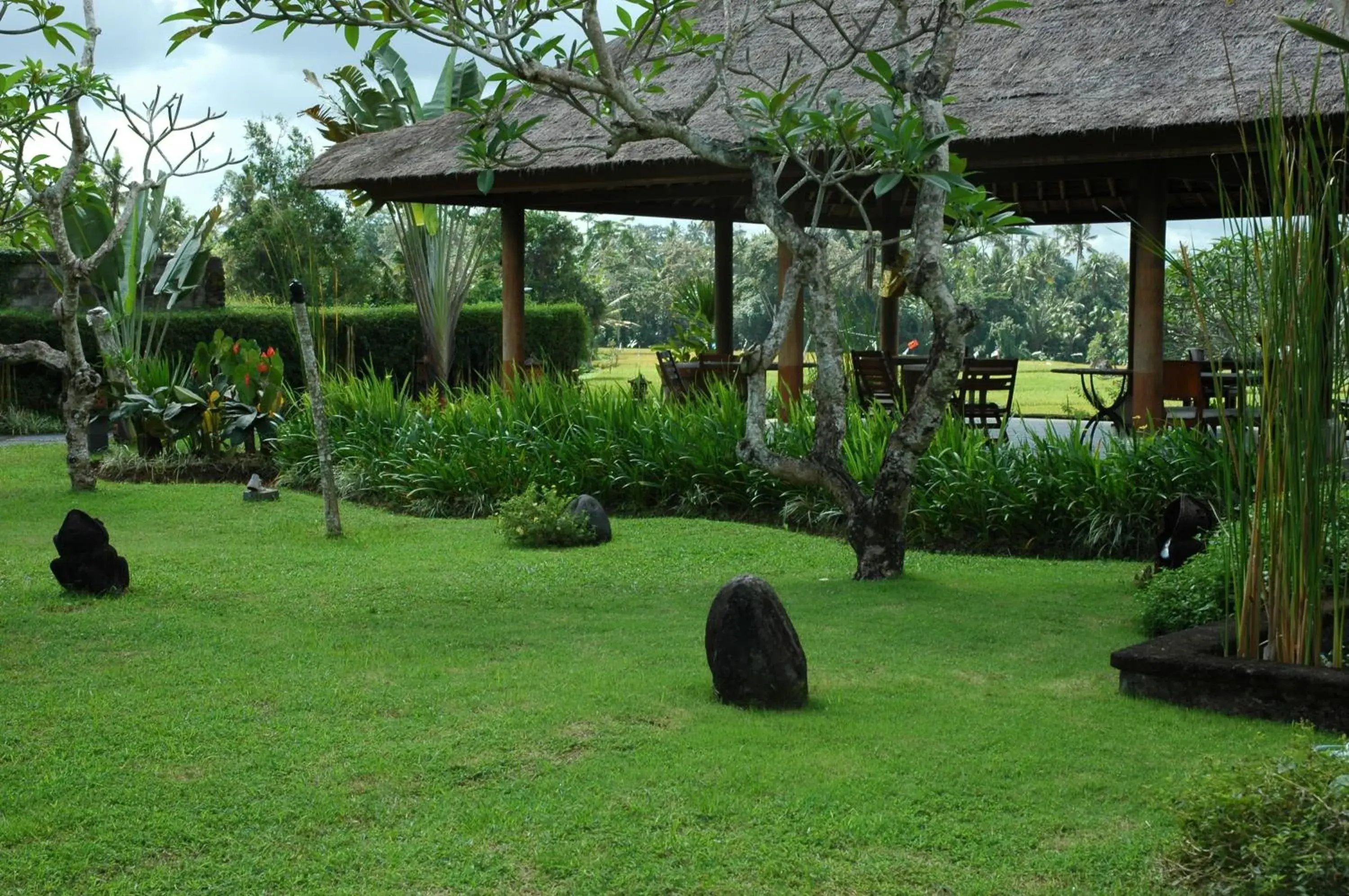 Restaurant/places to eat in Bumi Ubud Resort Restaurant/places to eat in Bumi Ubud Resort