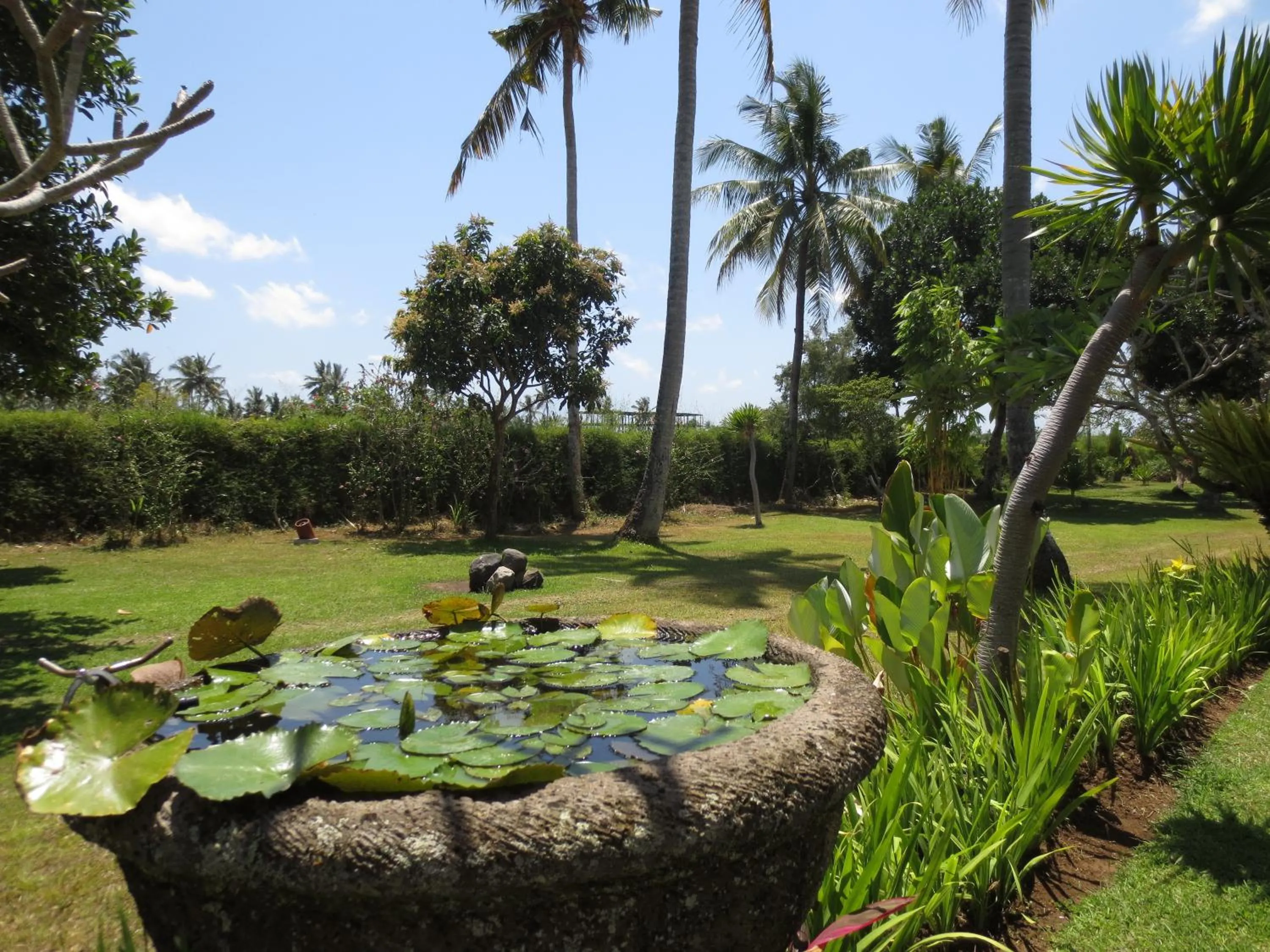 Garden in Bumi Ubud Resort