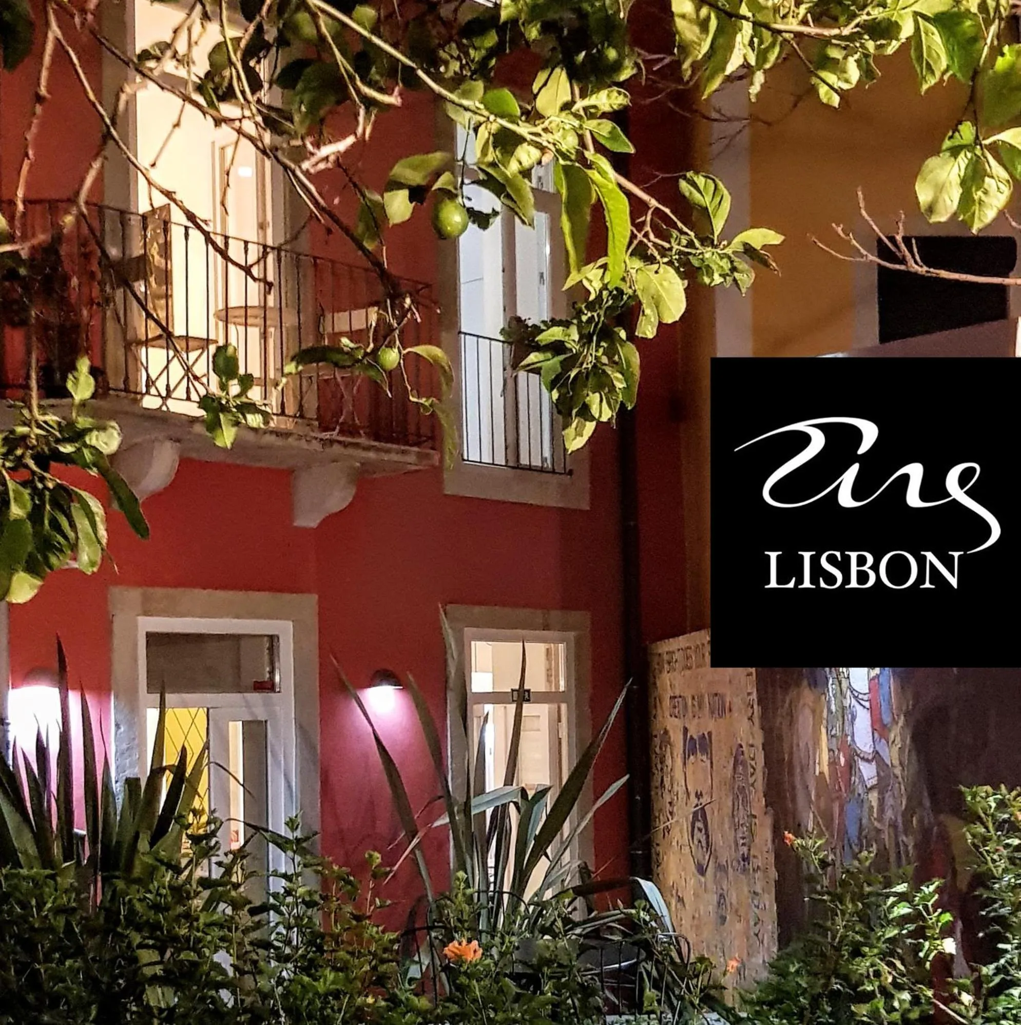 Tings Lisbon