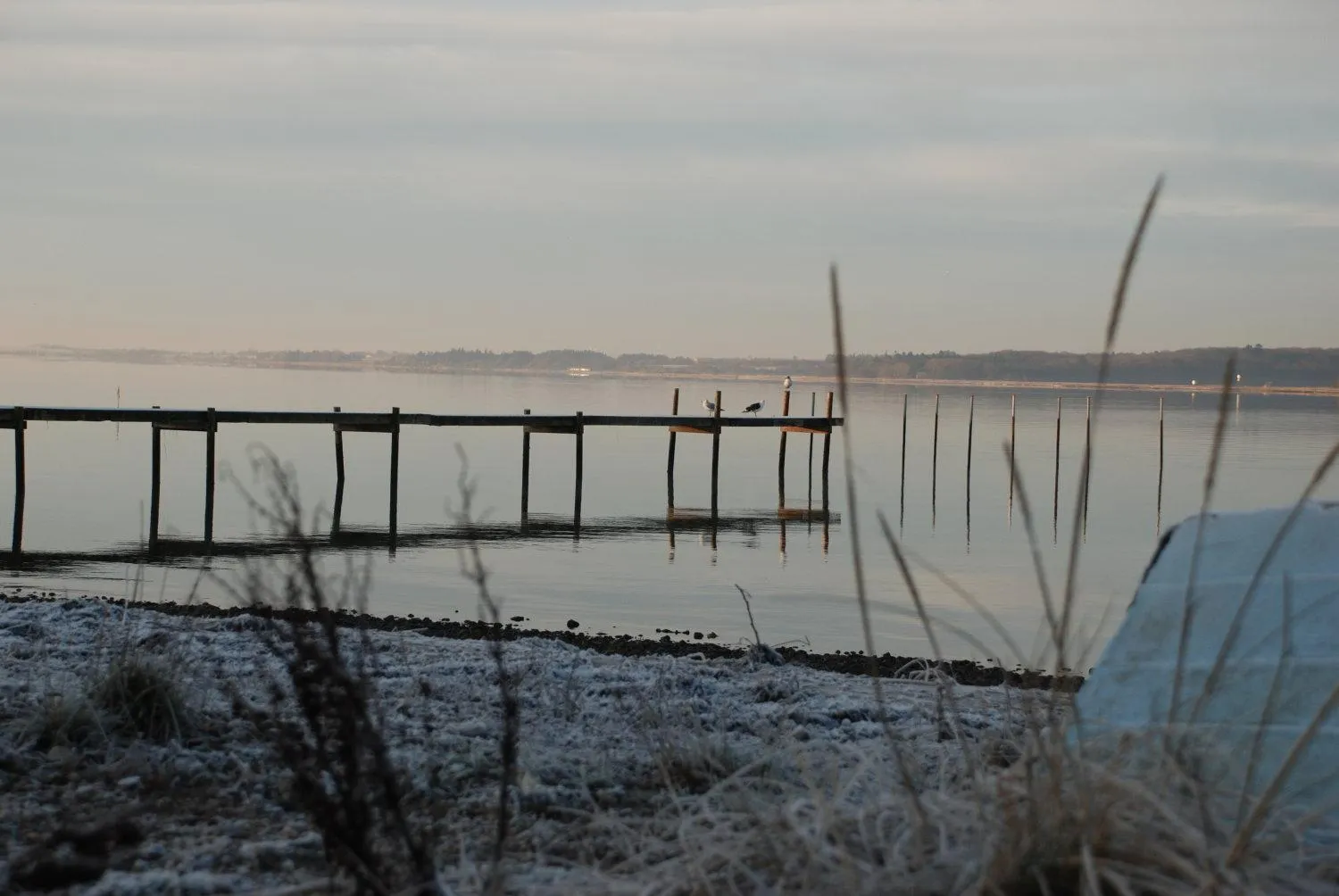 Area and facilities in Hotel Pinenhus