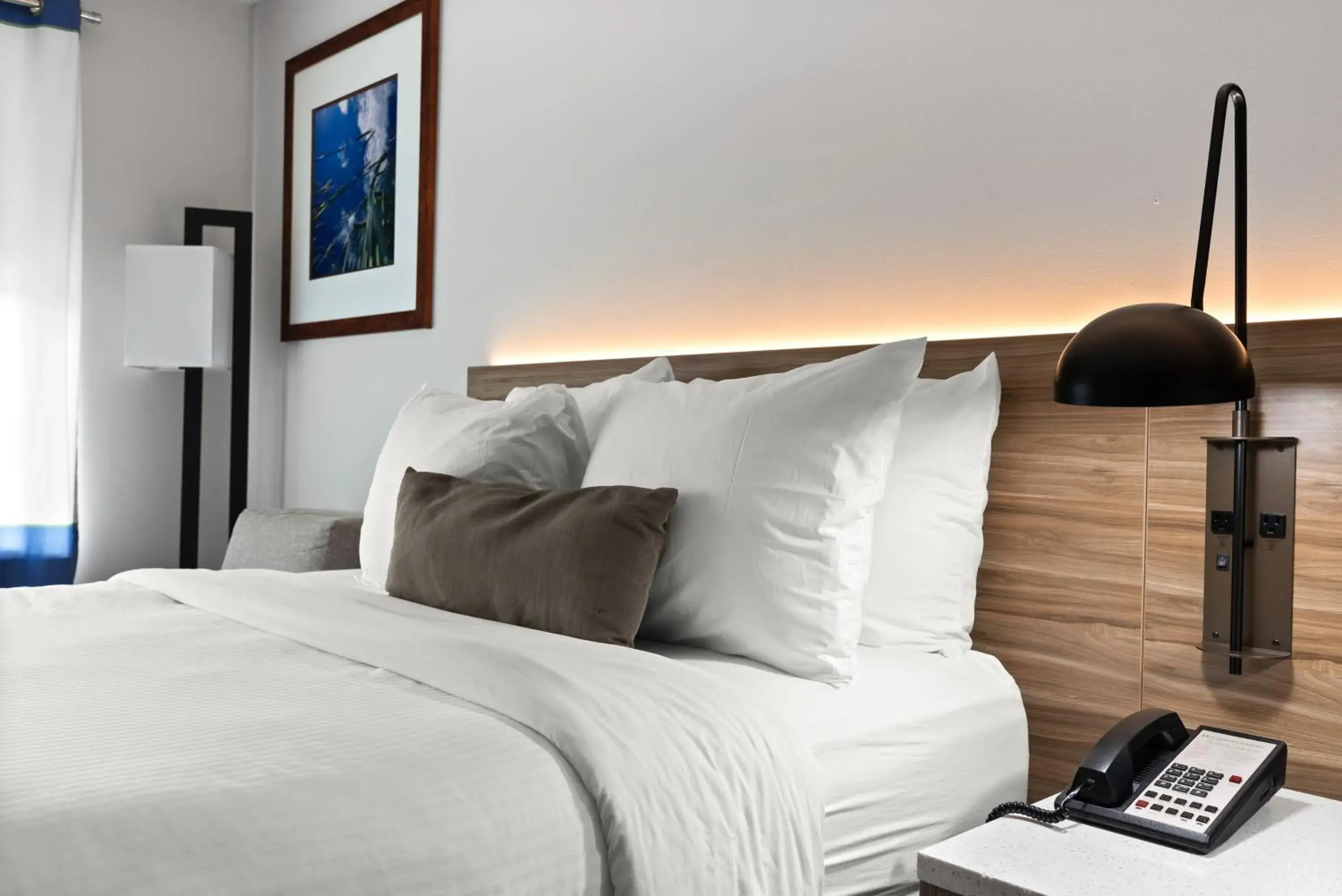 Bed in Wyndham Garden Manassas Bed in Wyndham Garden Manassas