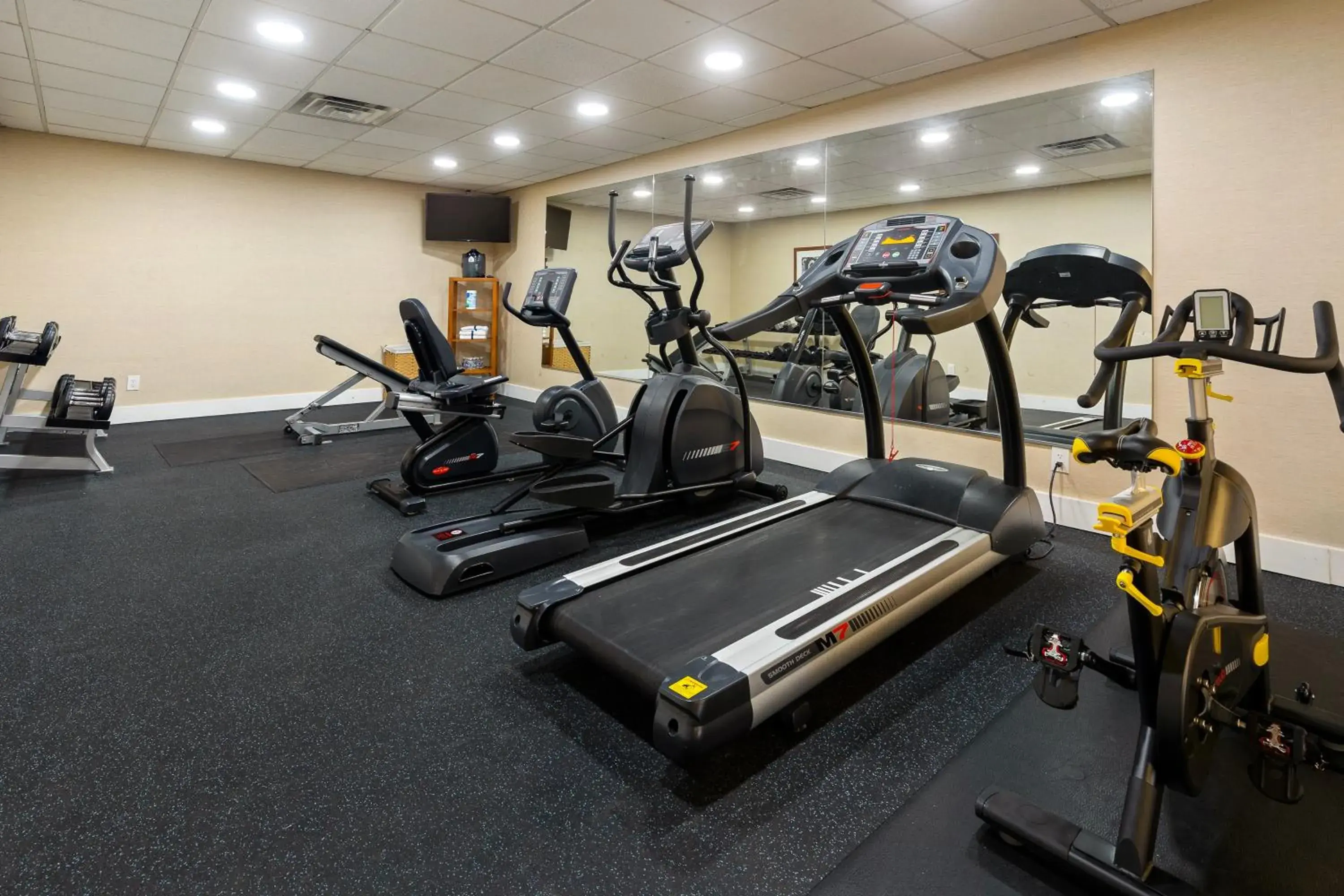 Fitness centre/facilities in Wyndham Garden Manassas Fitness centre/facilities in Wyndham Garden Manassas