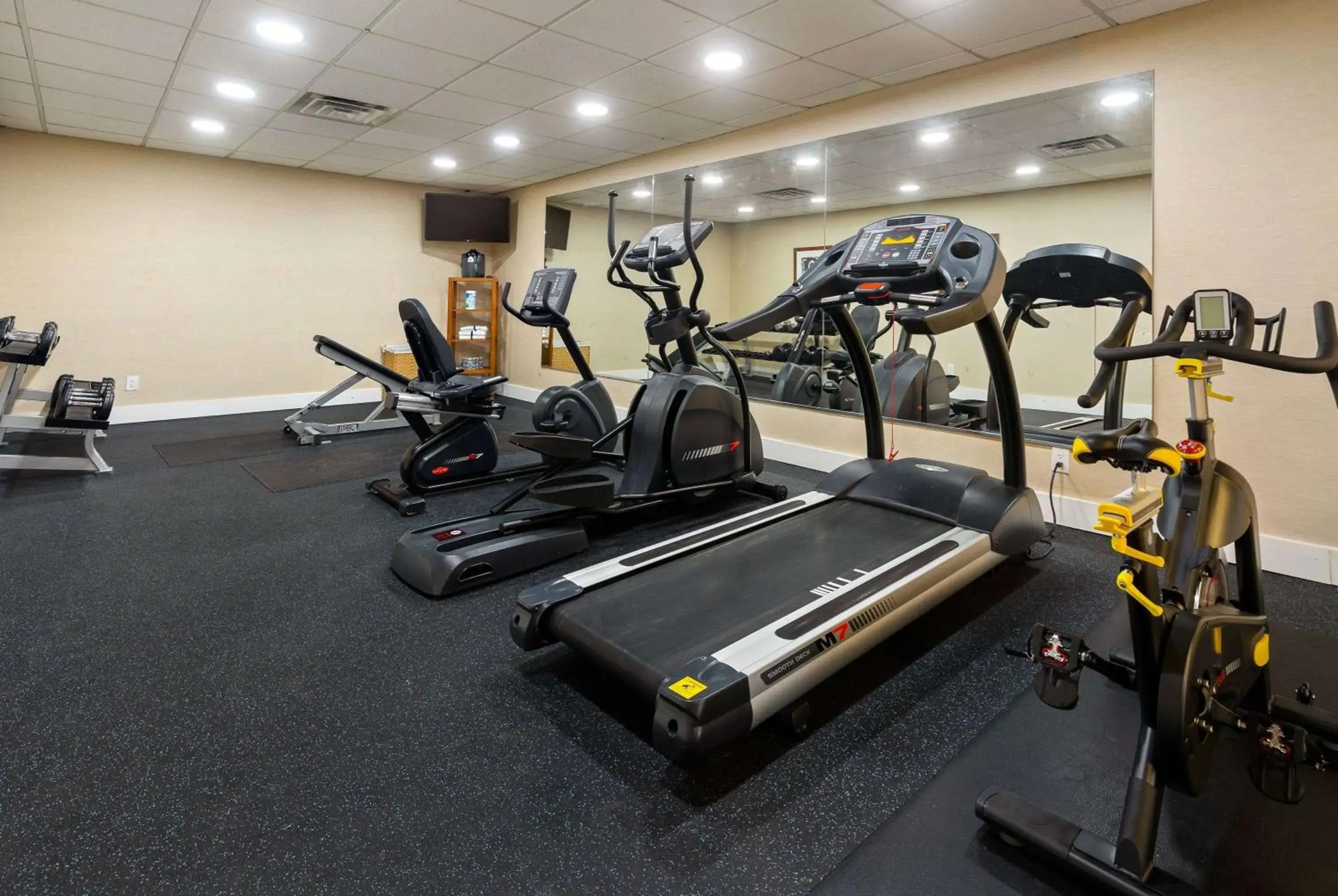 Fitness centre/facilities in Wyndham Garden Manassas Fitness centre/facilities in Wyndham Garden Manassas