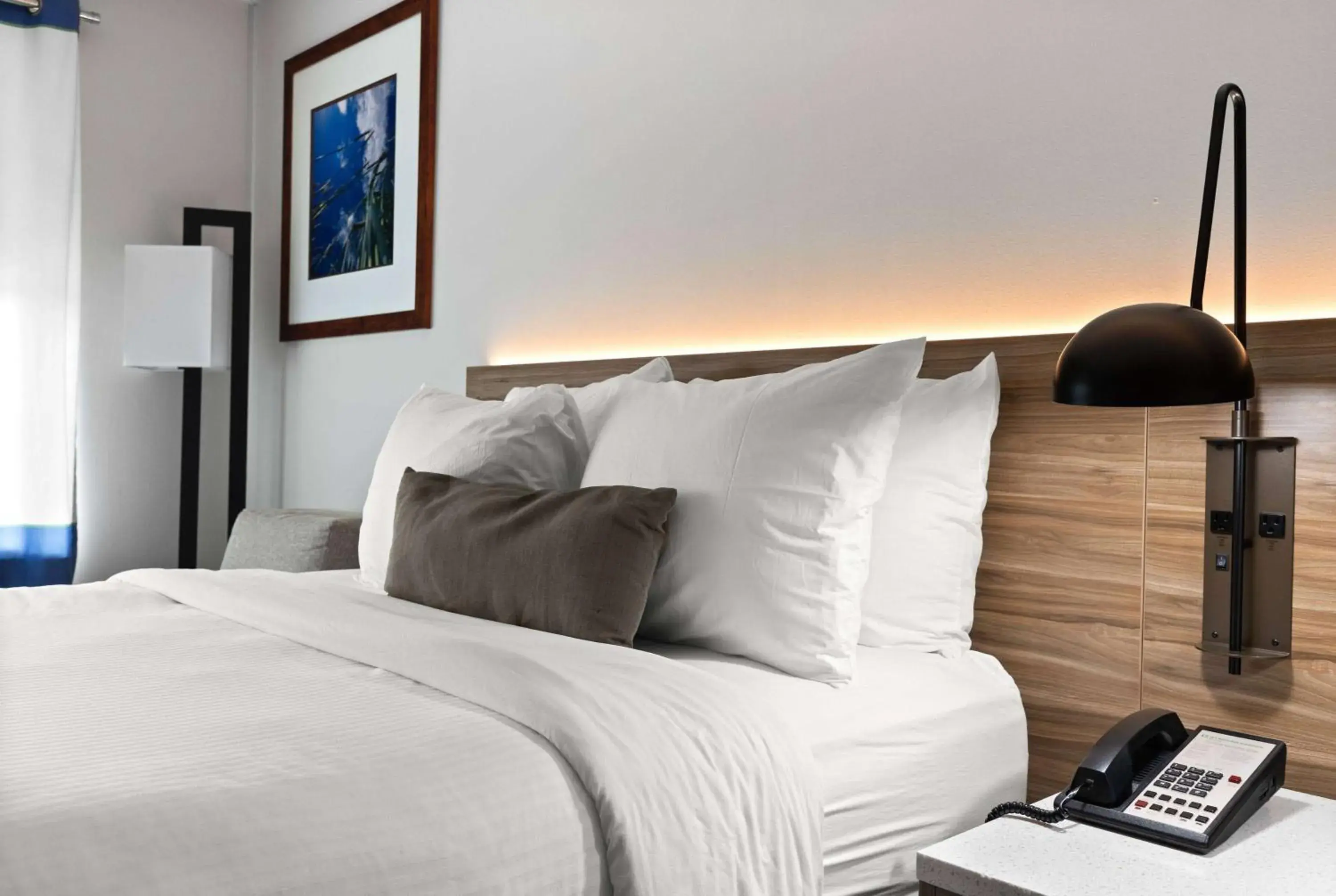 Photo of the whole room, Bed in Wyndham Garden Manassas Photo of the whole room, Bed in Wyndham Garden Manassas