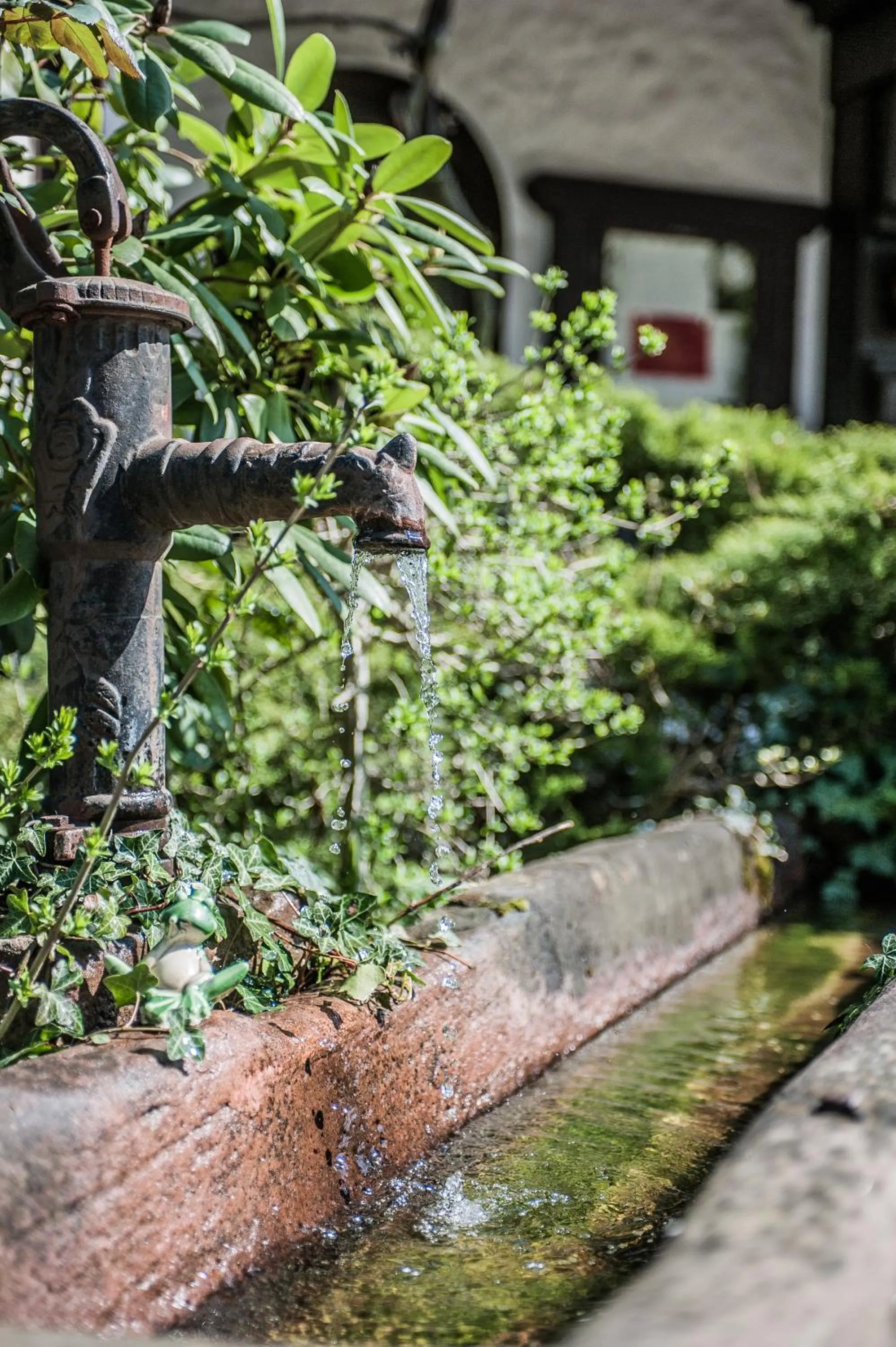 Area and facilities in Landhotel Rebstock