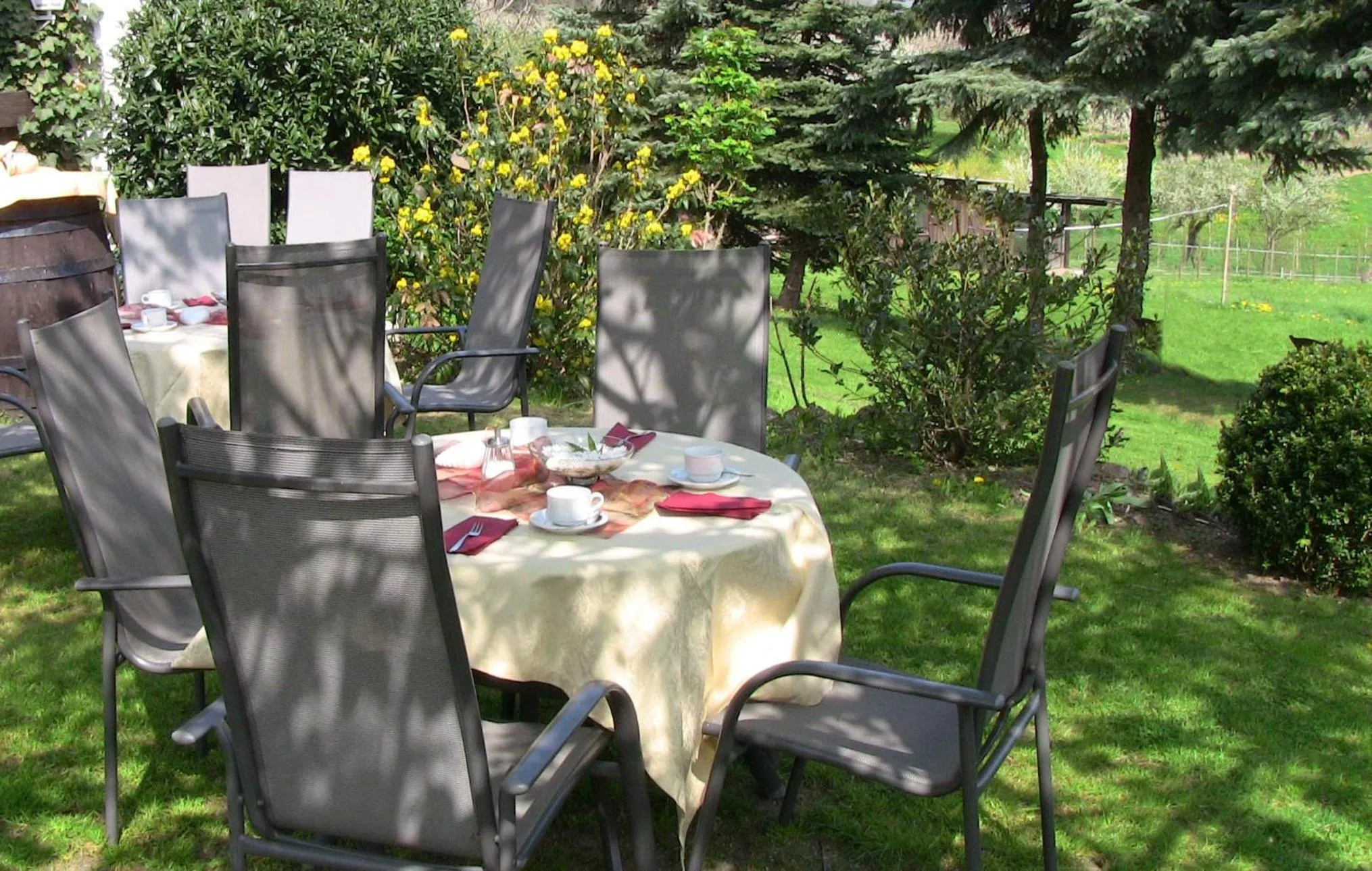 Garden in Landhotel Rebstock